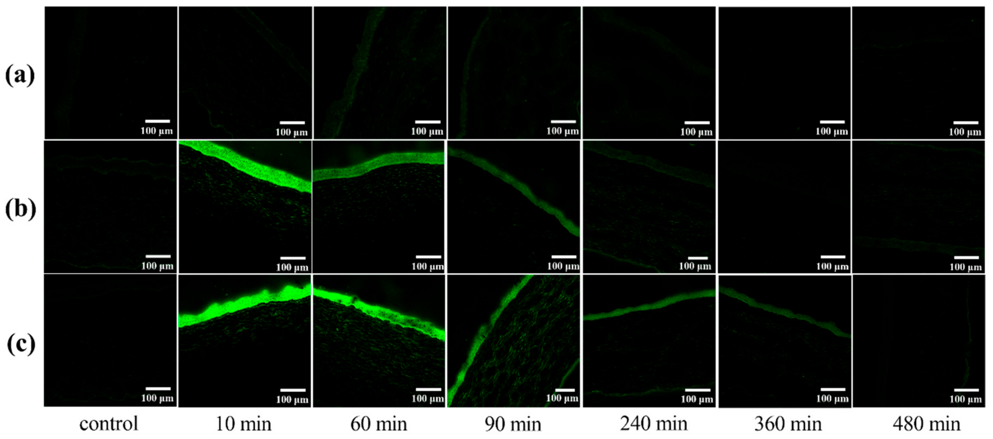 Molecules 25 00081 g009 Molecules 25 00081 g009