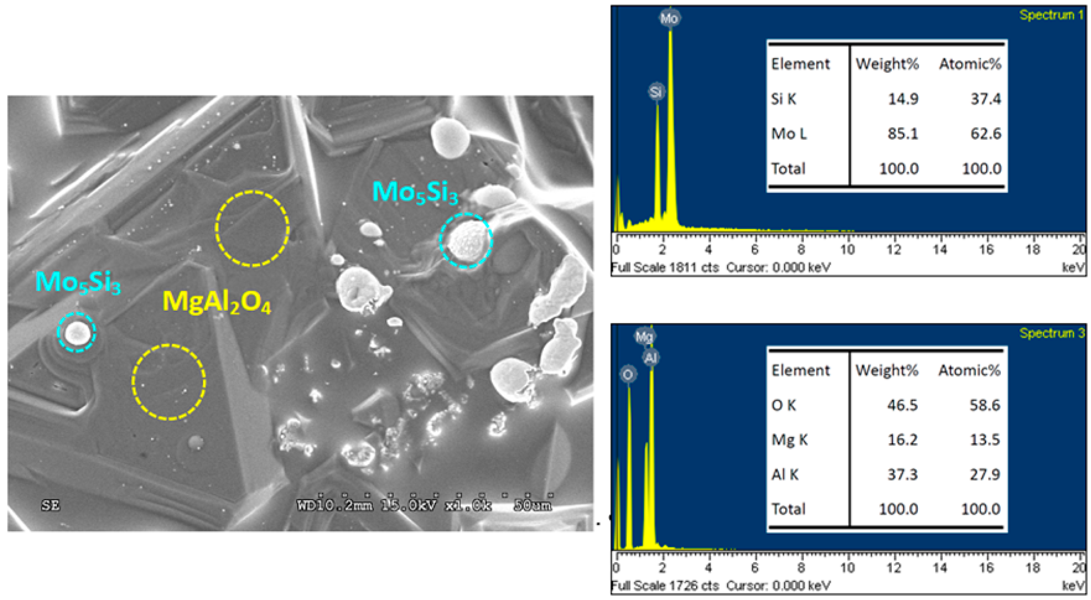 Molecules 25 00083 g006
