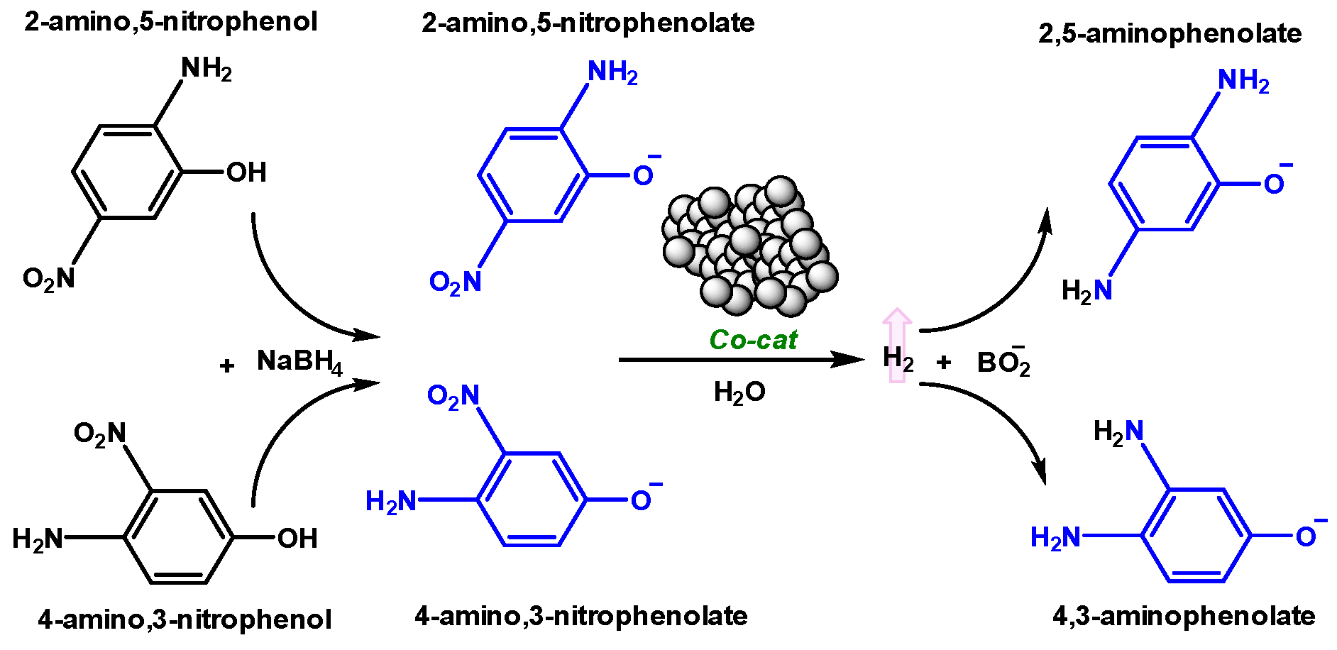 Molecules 25 00089 g009