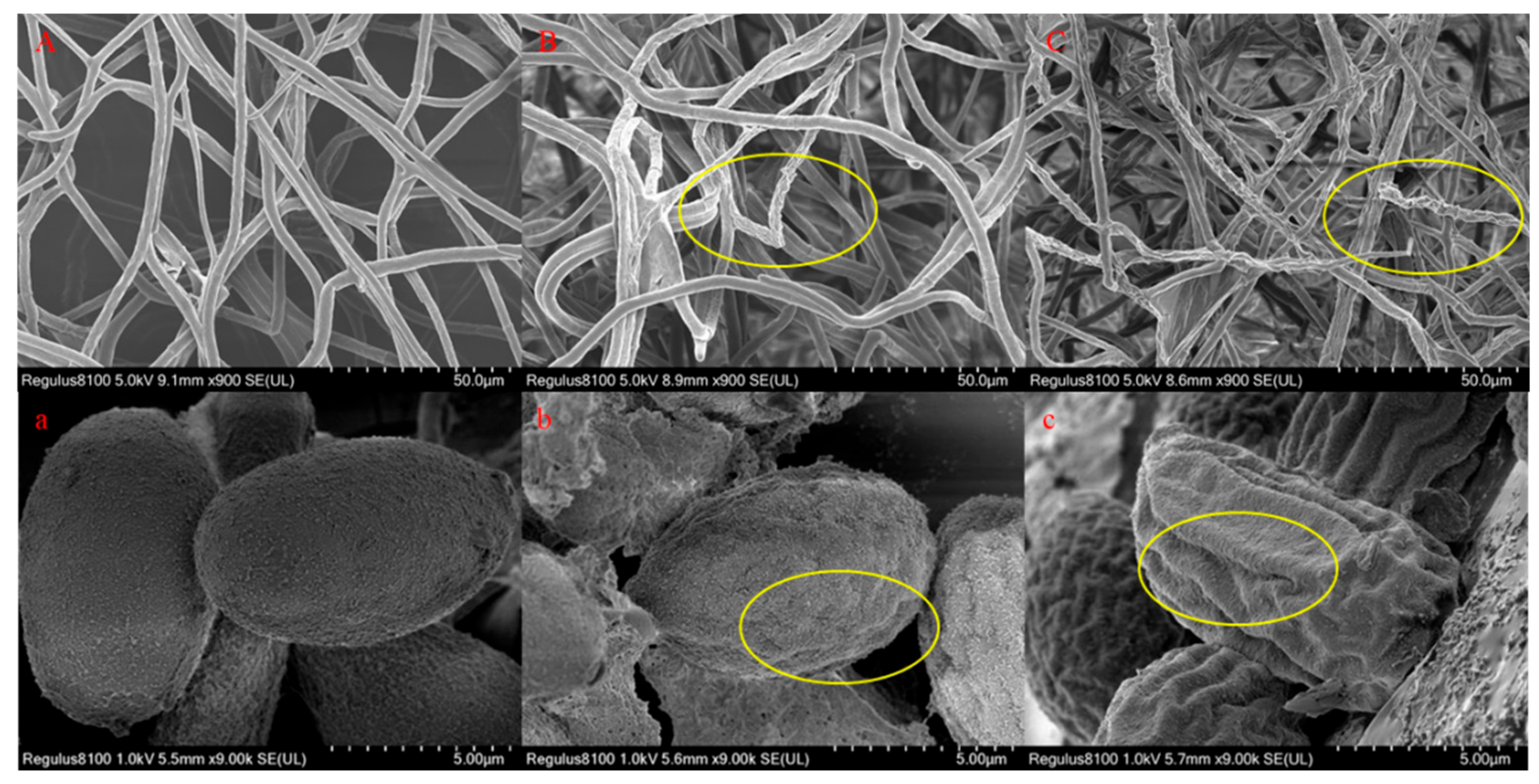 Molecules 25 00094 g007