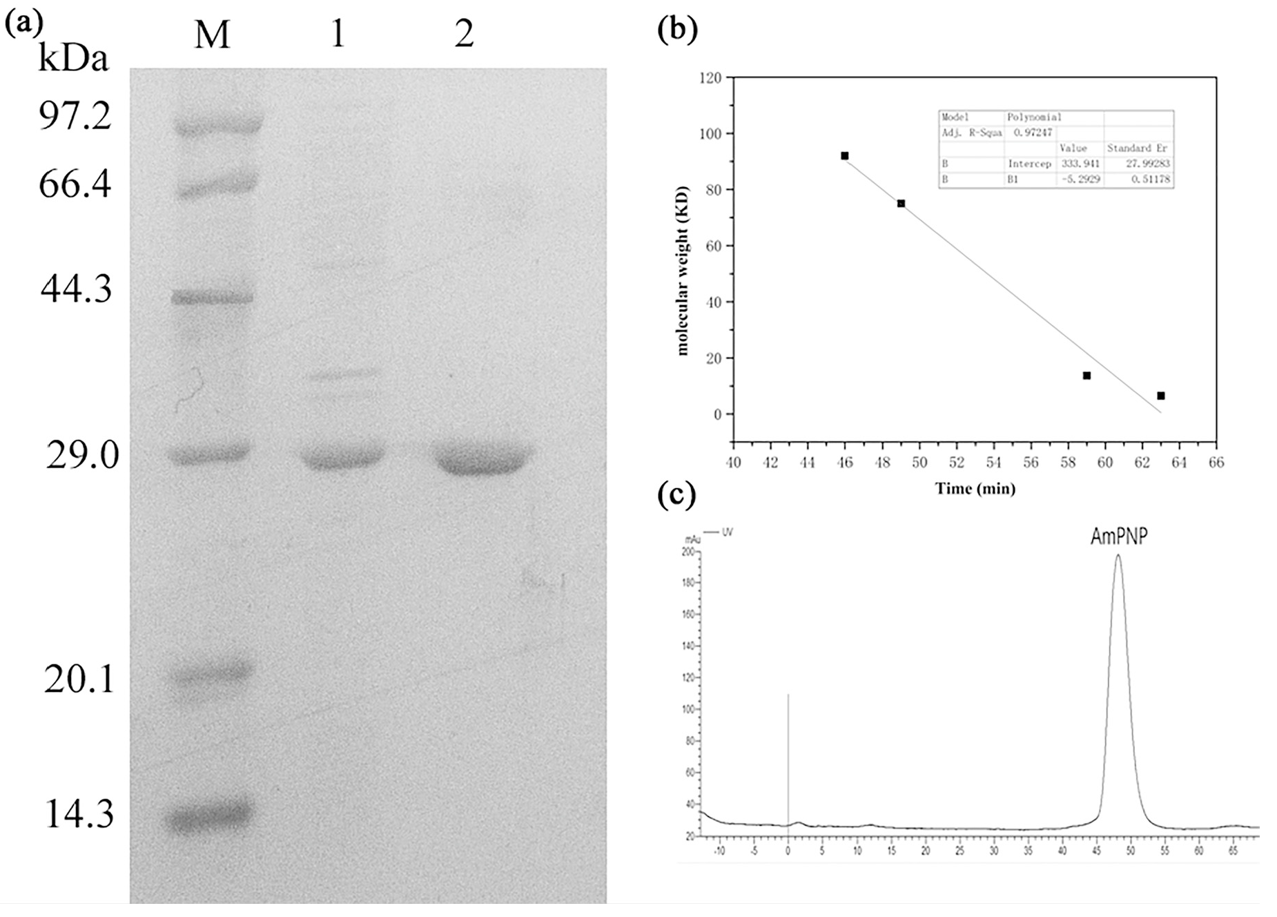 Molecules 25 00100 g002