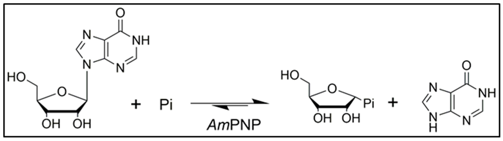 Molecules 25 00100 sch001