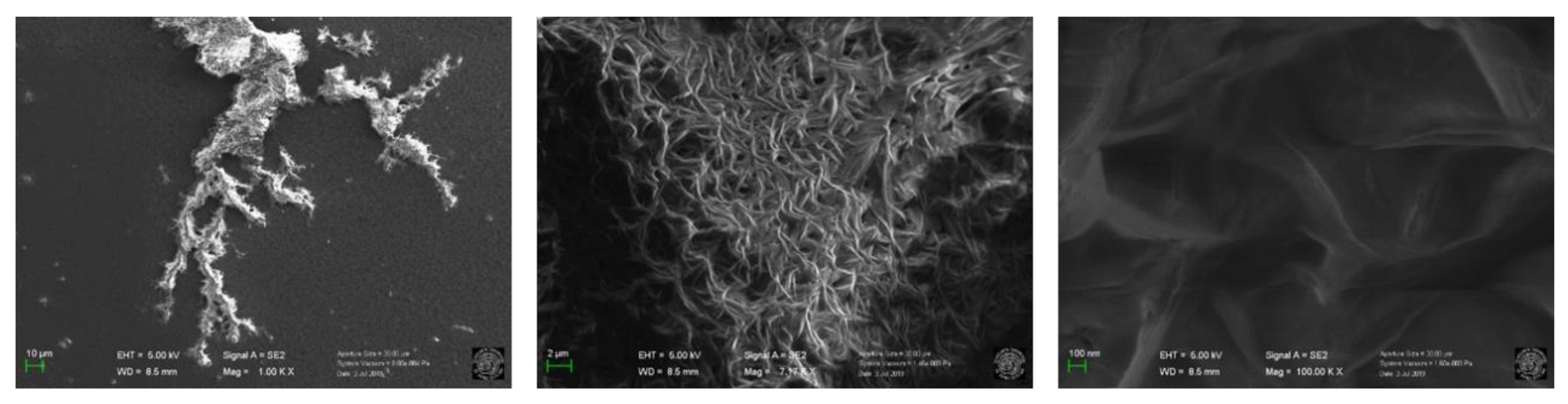 Molecules 25 00101 g002