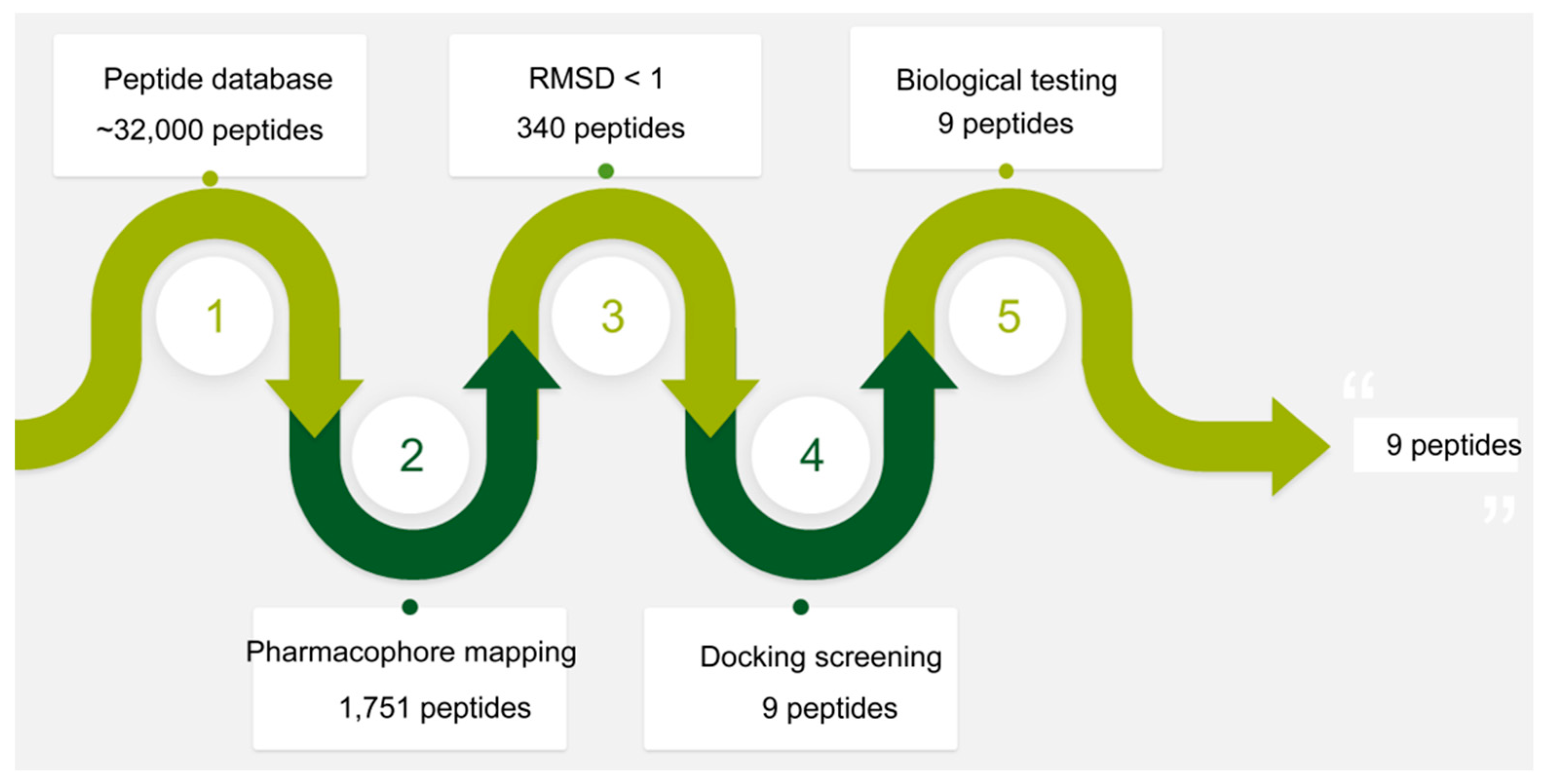 Molecules 25 00107 g002