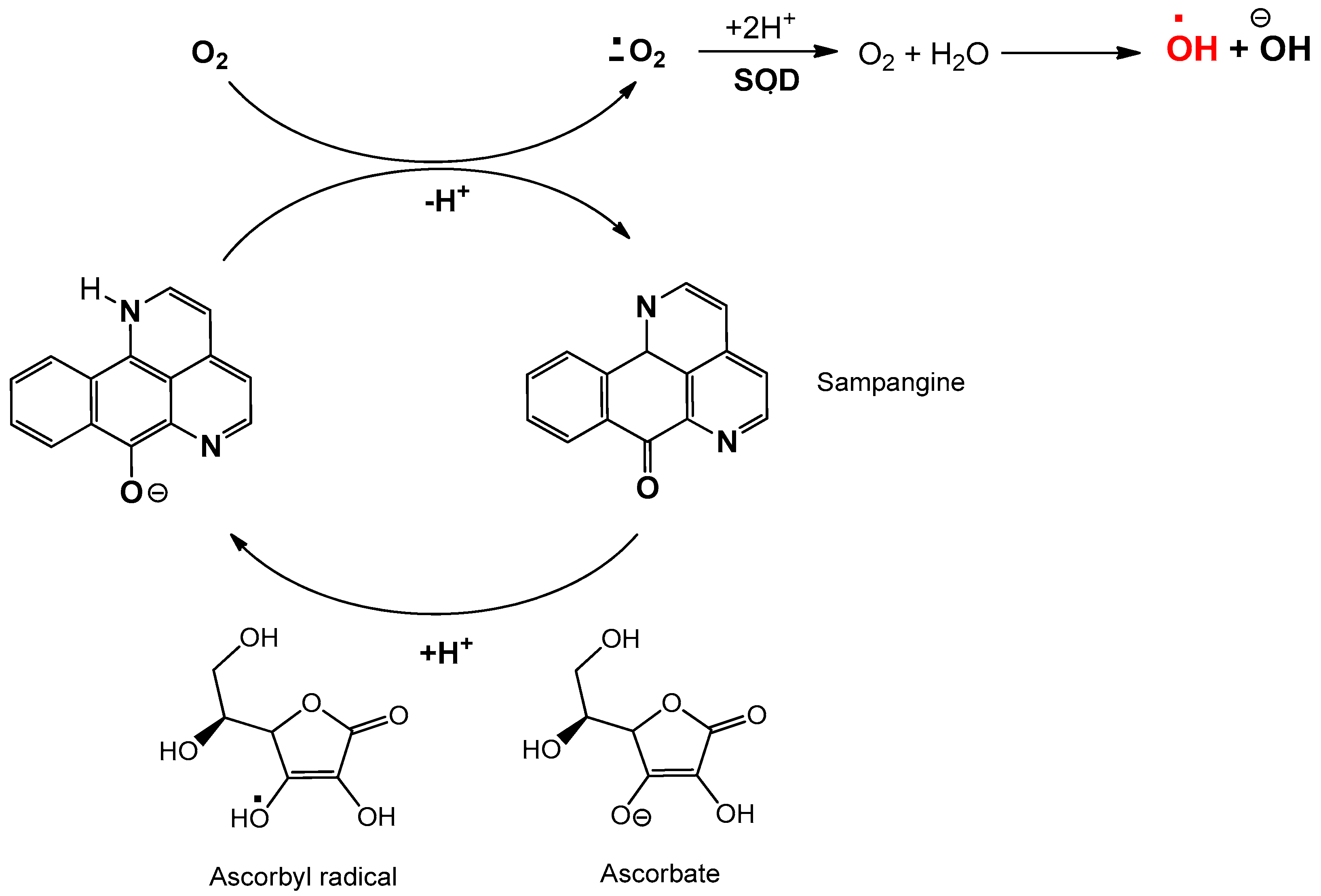 Molecules 25 00108 g008 Molecules 25 00108 g008