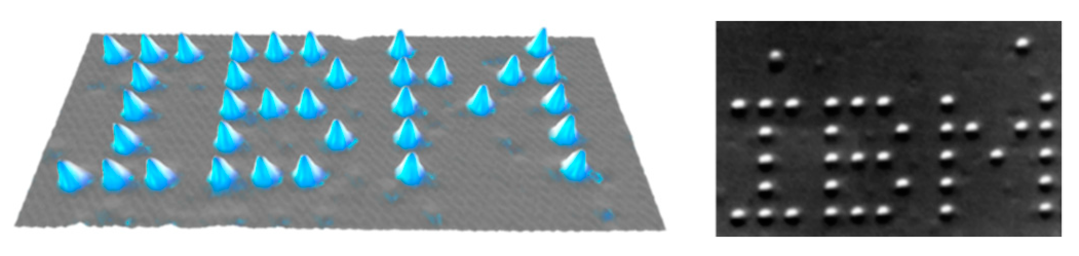 Molecules 25 00112 g007 Molecules 25 00112 g007