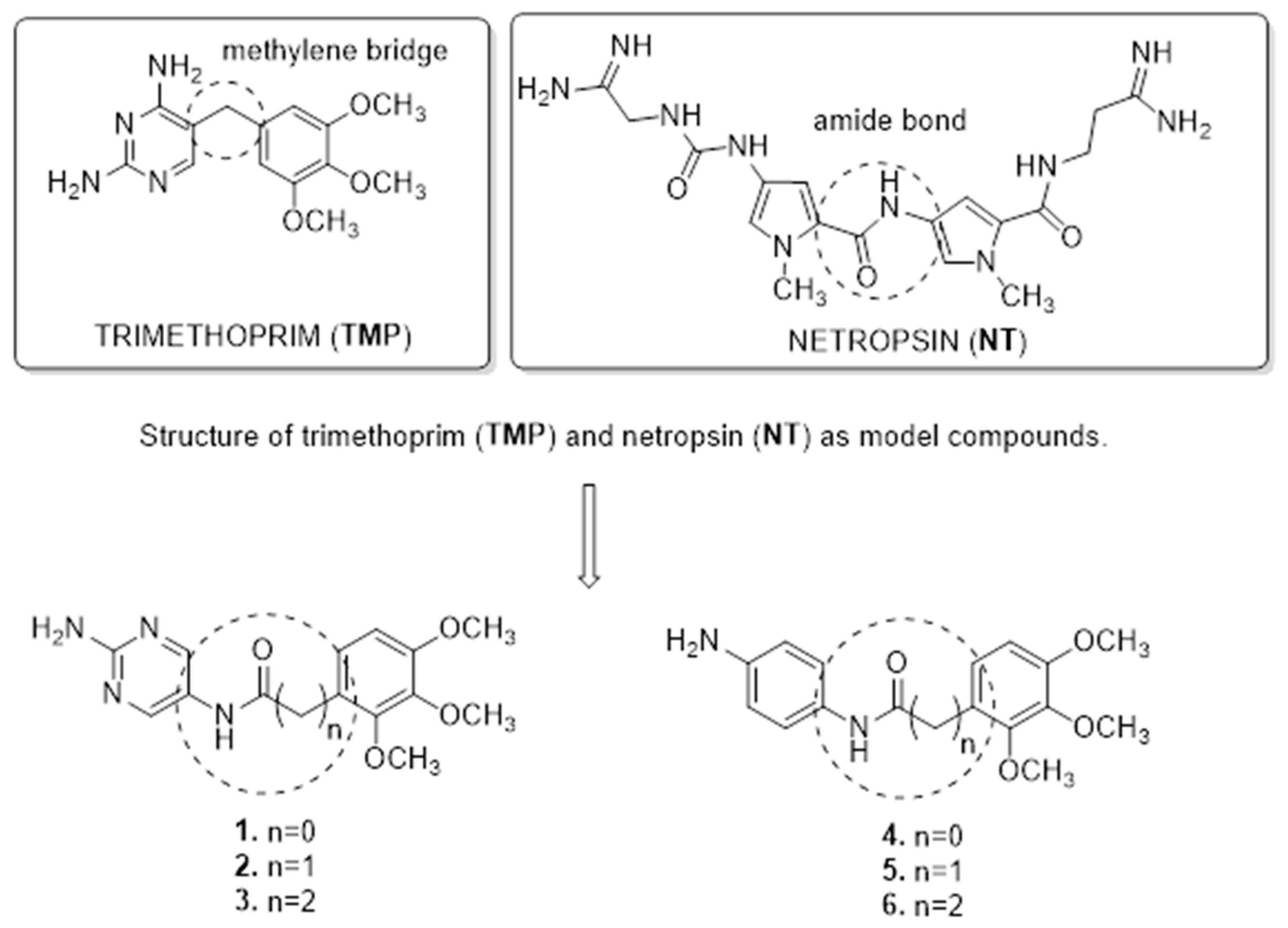 Molecules 25 00116 g002 Molecules 25 00116 g002