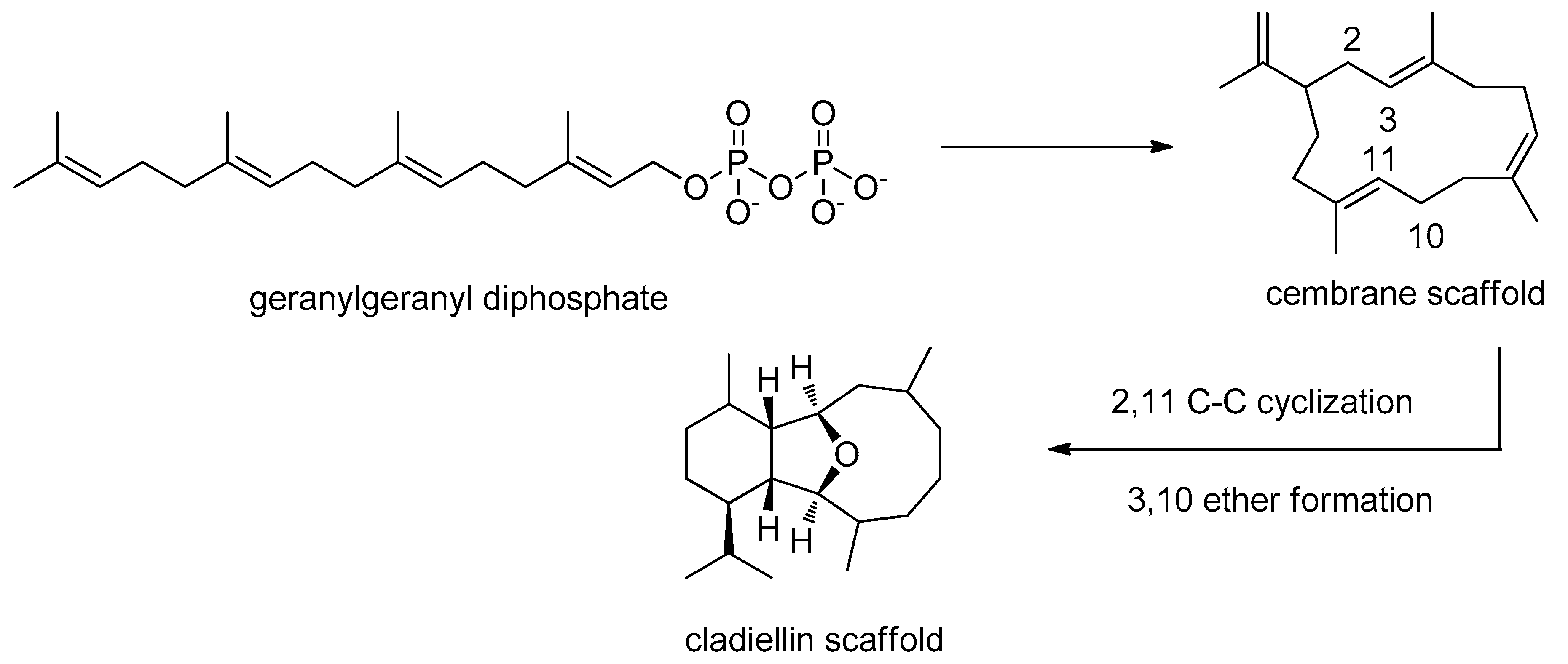 Molecules 25 00129 g002 Molecules 25 00129 g002