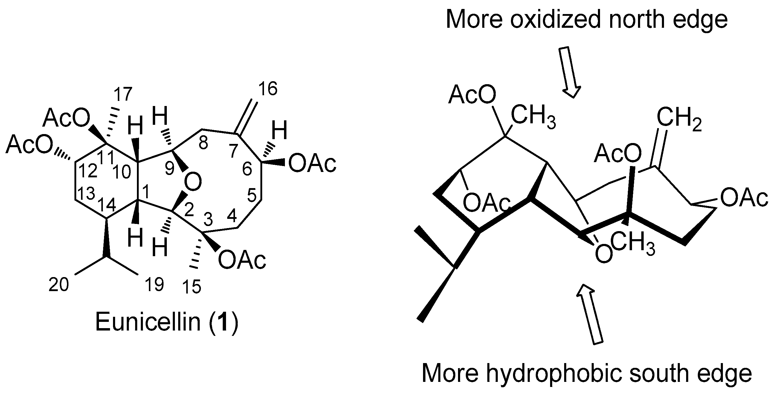 Molecules 25 00129 g003 Molecules 25 00129 g003