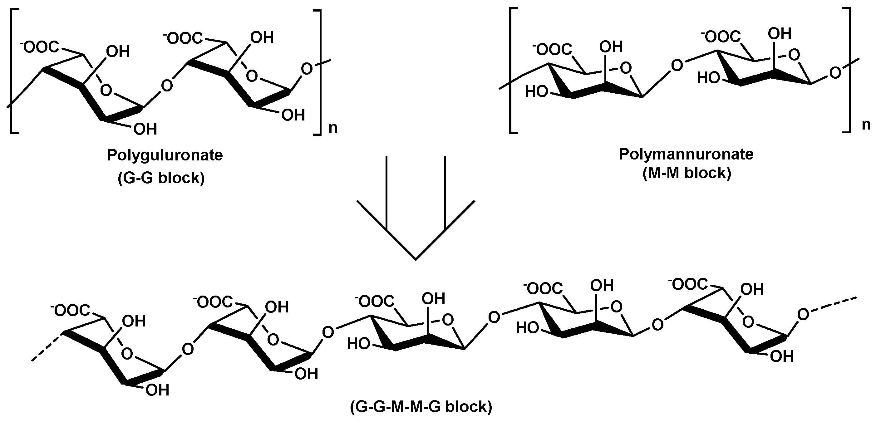 Molecules Free Full Text Prospect Of Polysaccharide Based Materials As Advanced Food Packaging Html