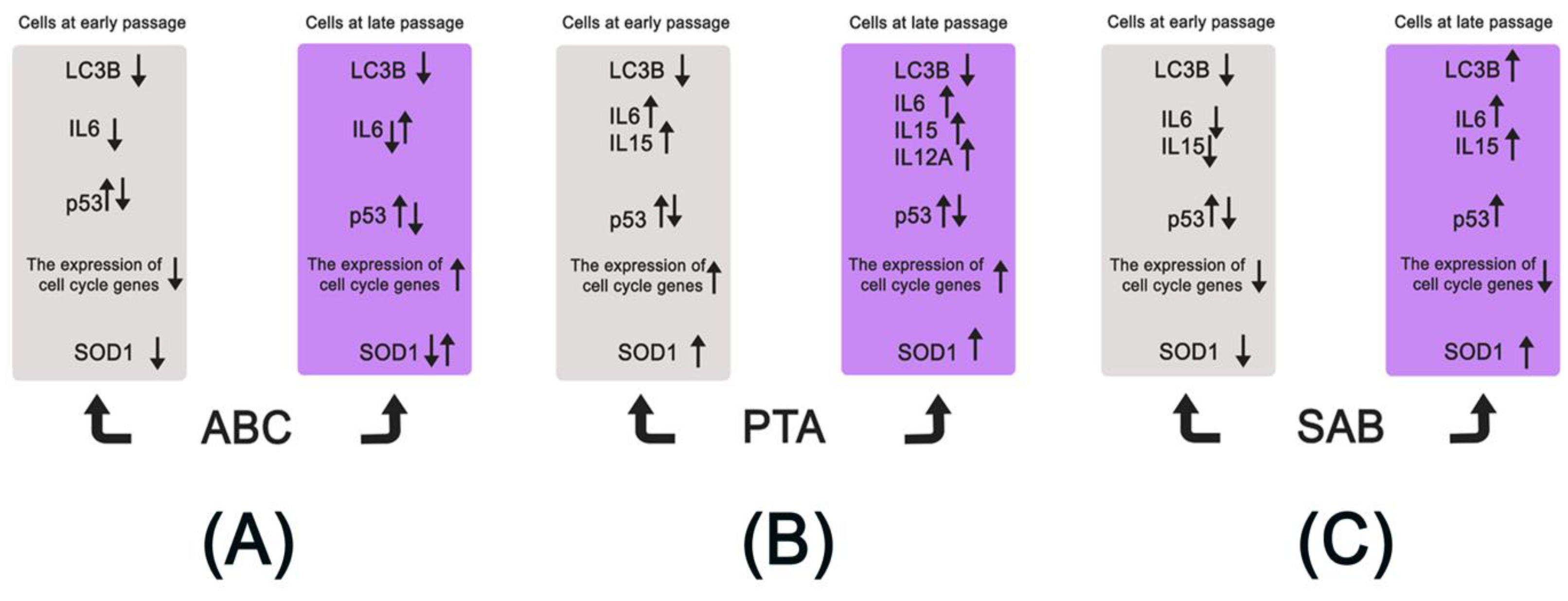 Molecules 25 00141 g008 Molecules 25 00141 g008
