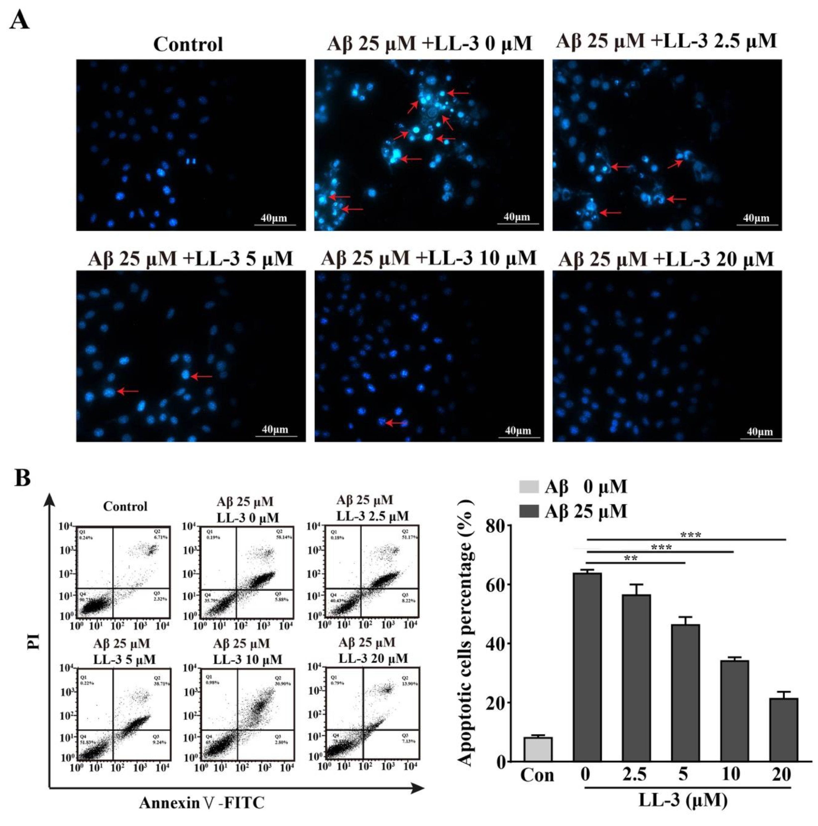 Molecules 25 00142 g005 Molecules 25 00142 g005