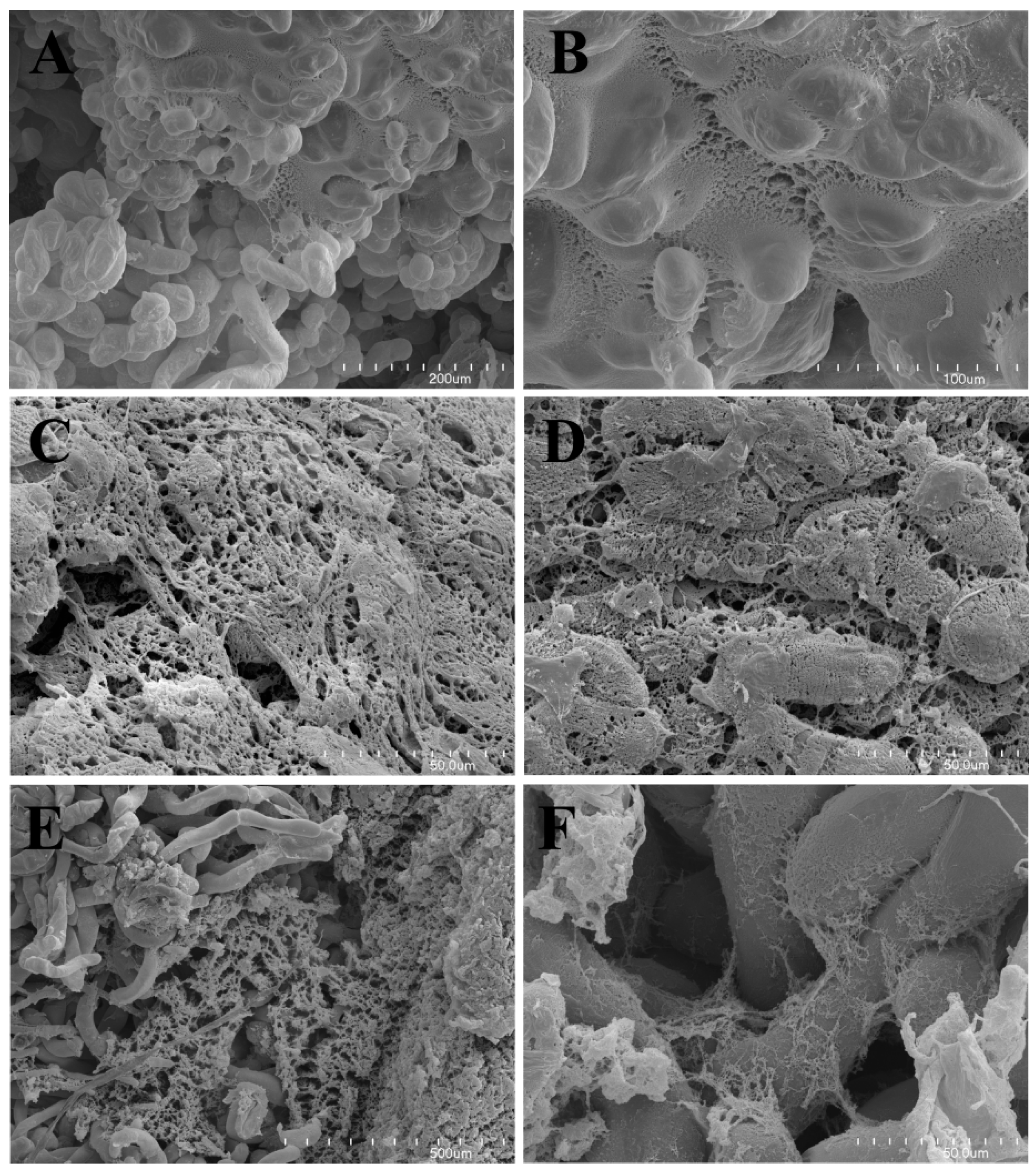 Molecules 25 00146 g001 Molecules 25 00146 g001