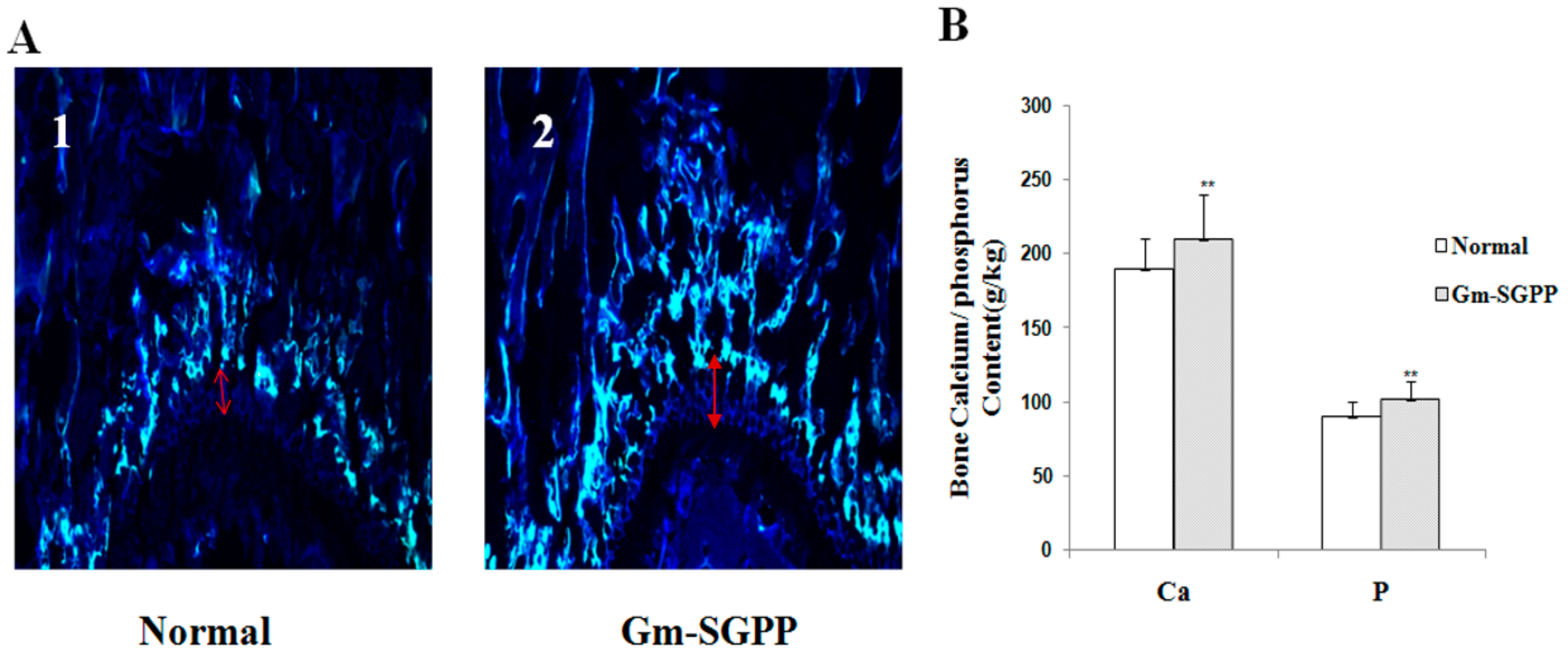 Molecules 25 00156 g008 Molecules 25 00156 g008