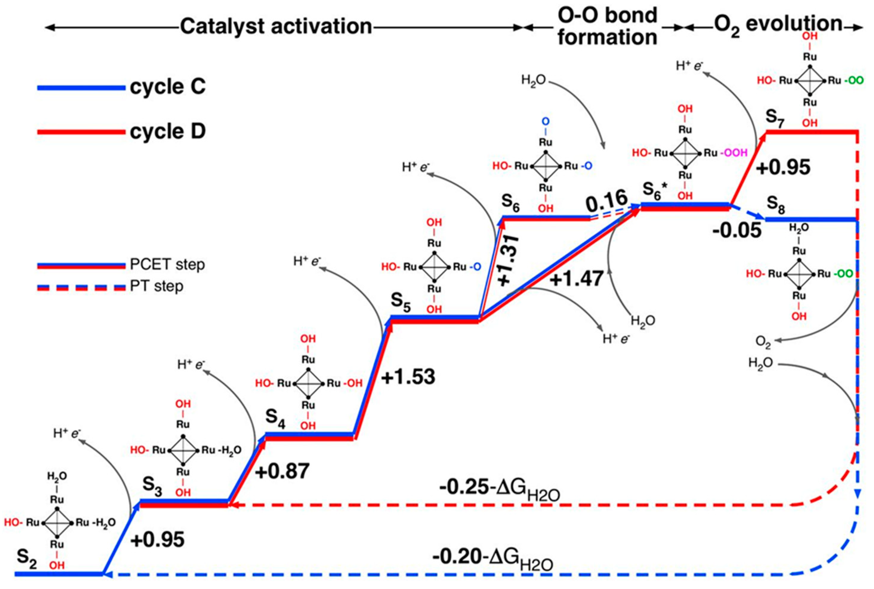 Molecules 25 00157 g004