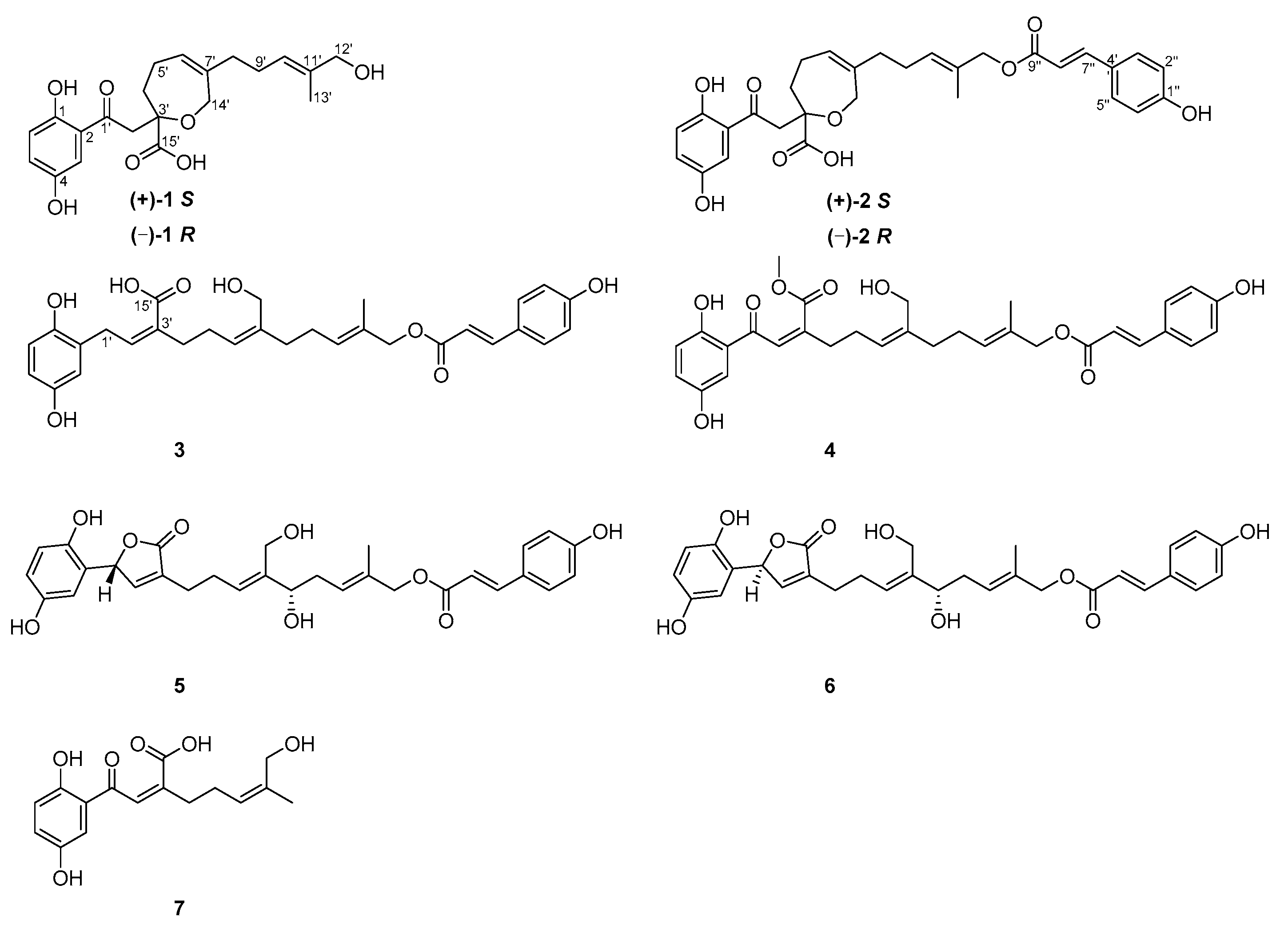 Molecules 25 00158 g001 Molecules 25 00158 g001