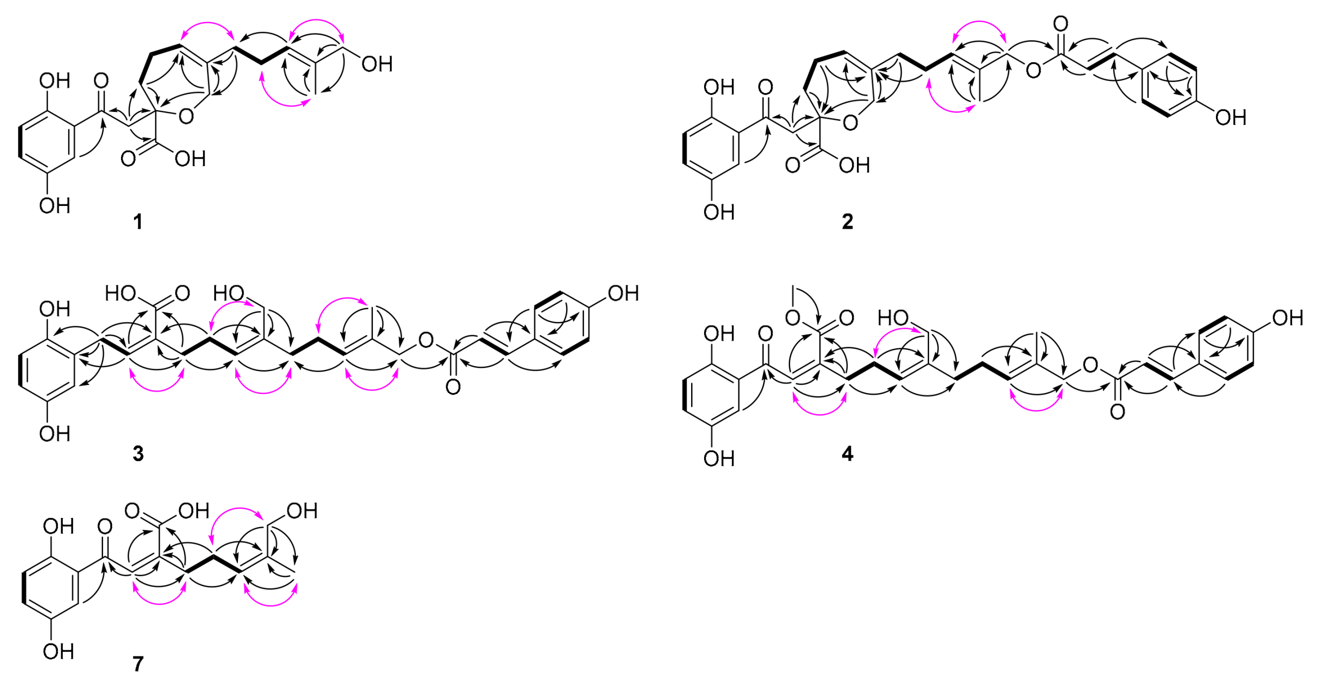 Molecules 25 00158 g002 Molecules 25 00158 g002