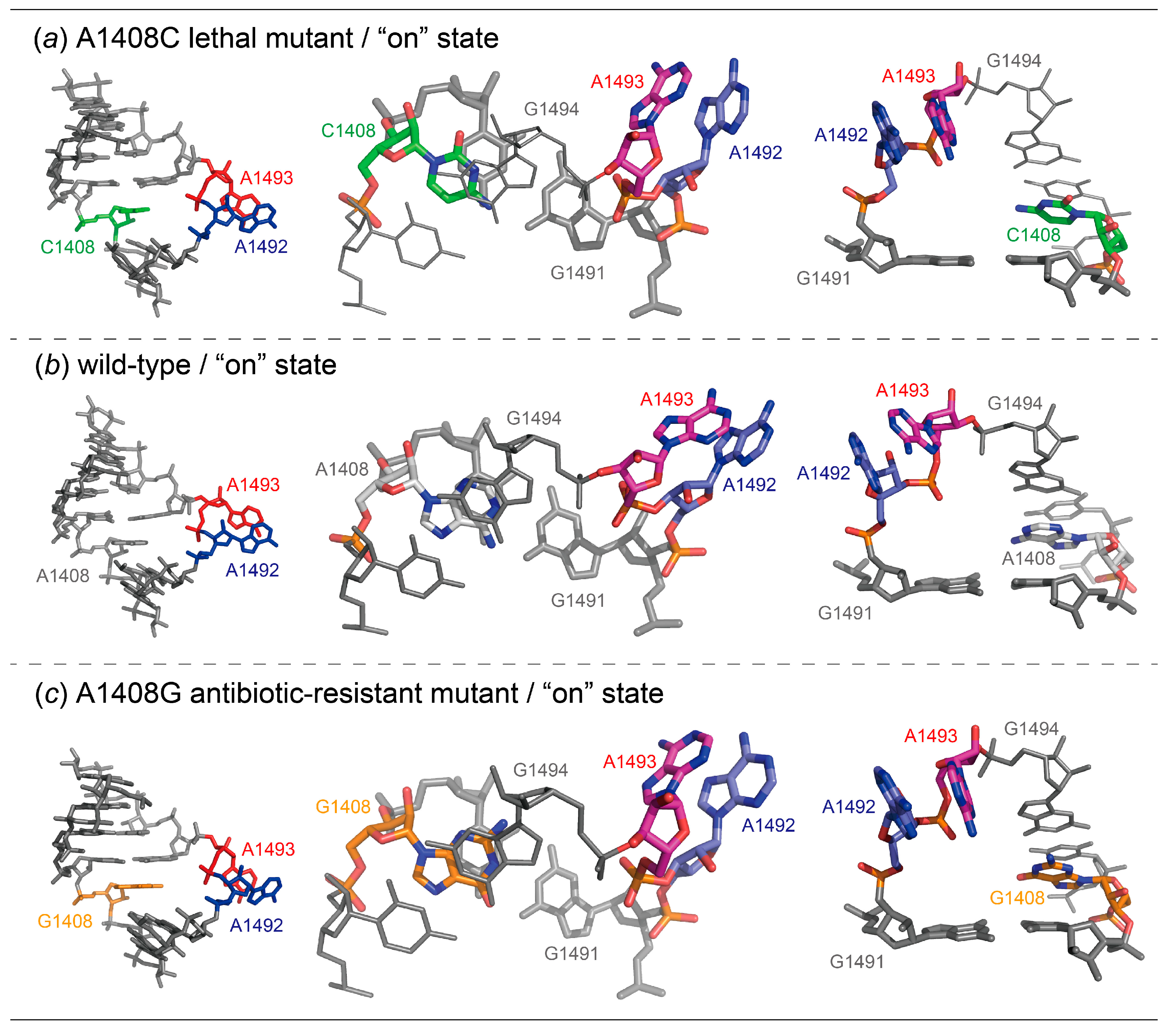 Molecules 25 00159 g005 Molecules 25 00159 g005
