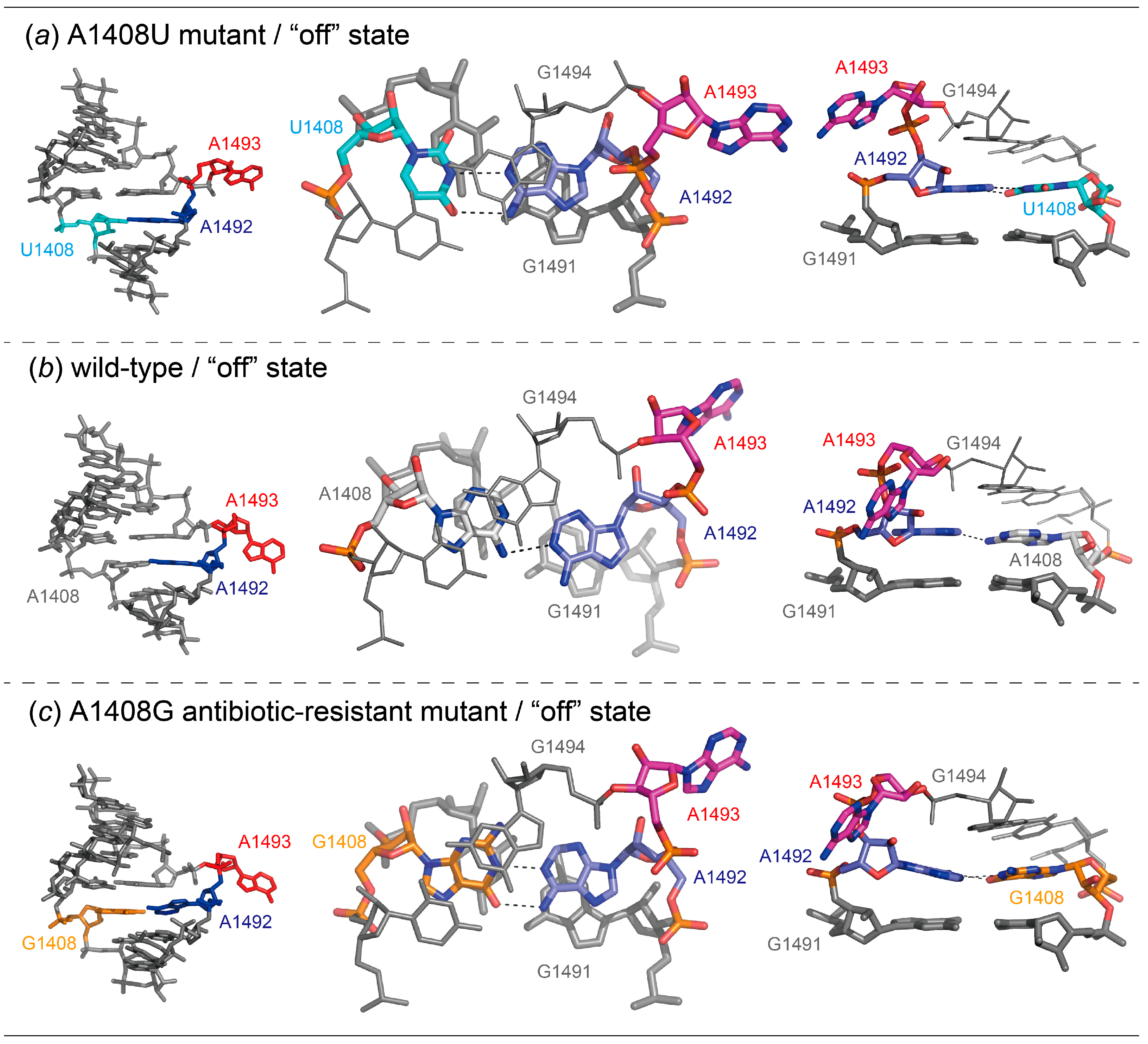 Molecules 25 00159 g007 Molecules 25 00159 g007
