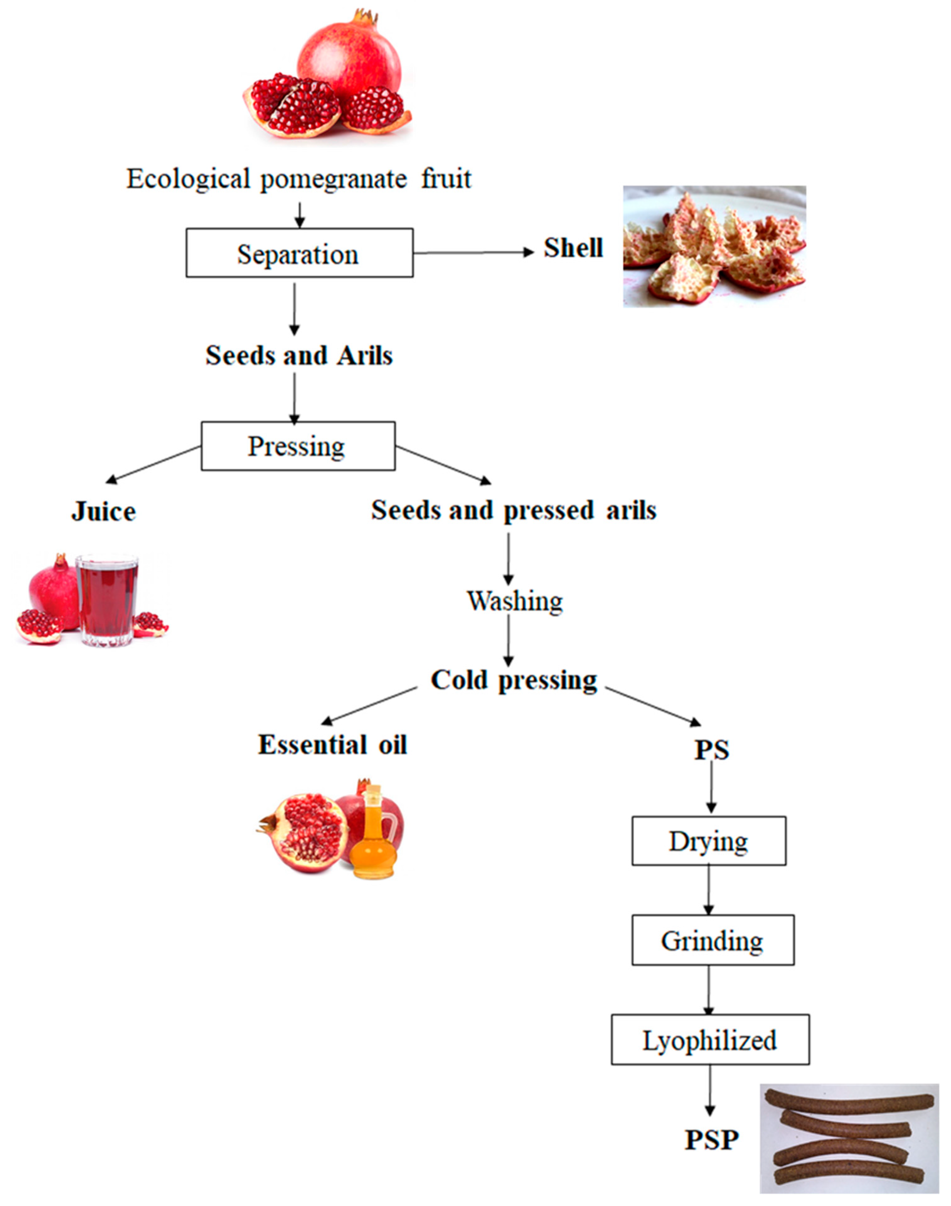 Molecules 25 00166 g005
