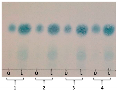 Molecules 25 00180 i001 Molecules 25 00180 i001