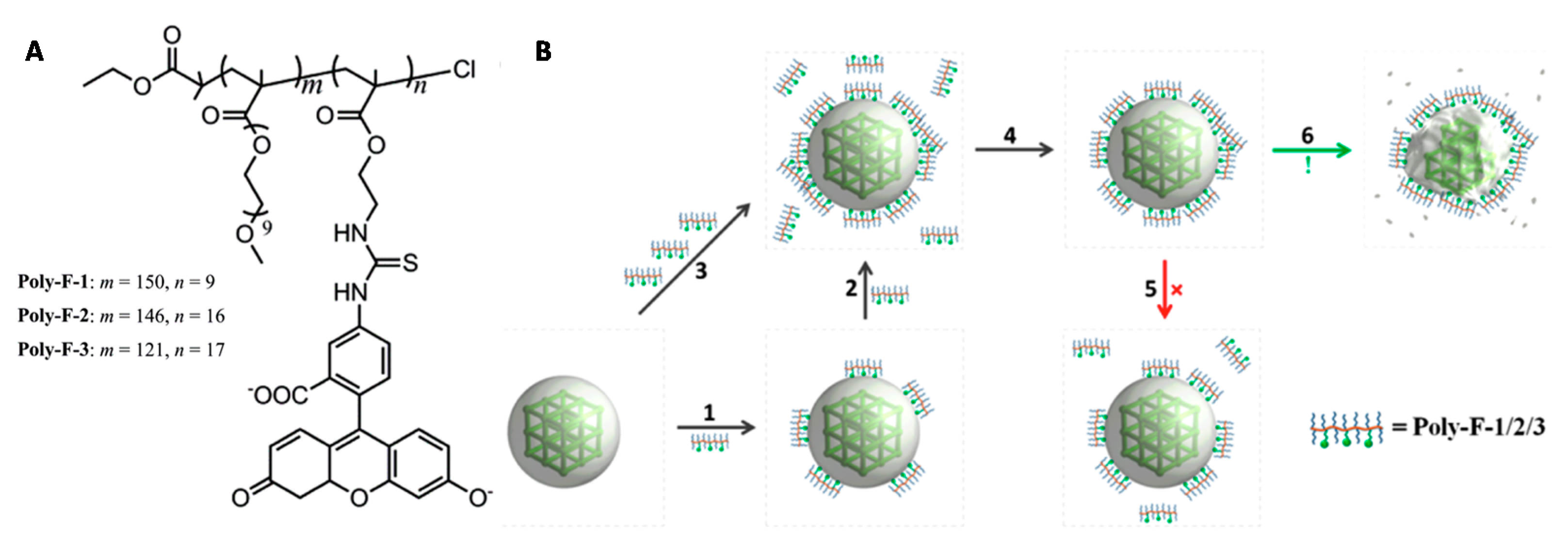 Molecules 25 00185 g004 Molecules 25 00185 g004