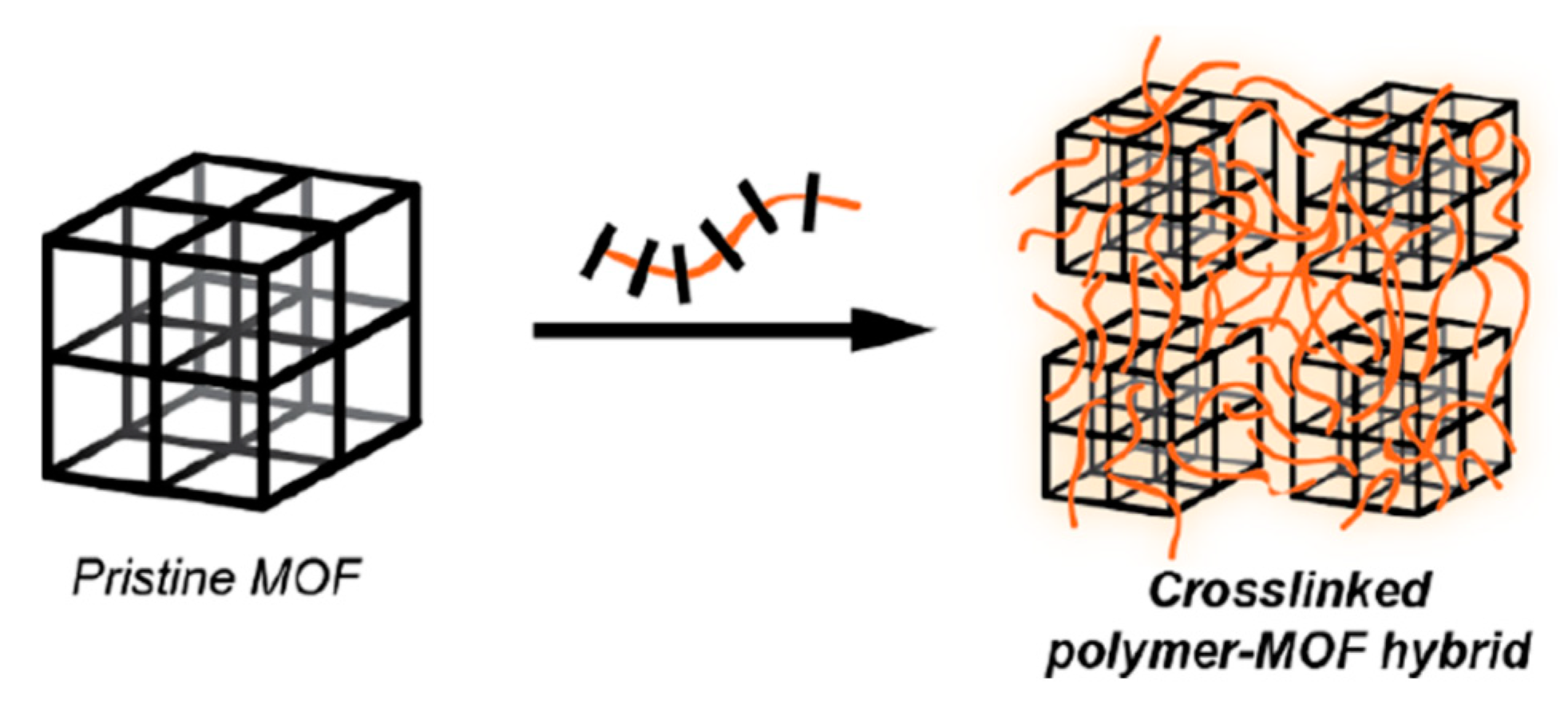 Molecules 25 00185 g010 Molecules 25 00185 g010