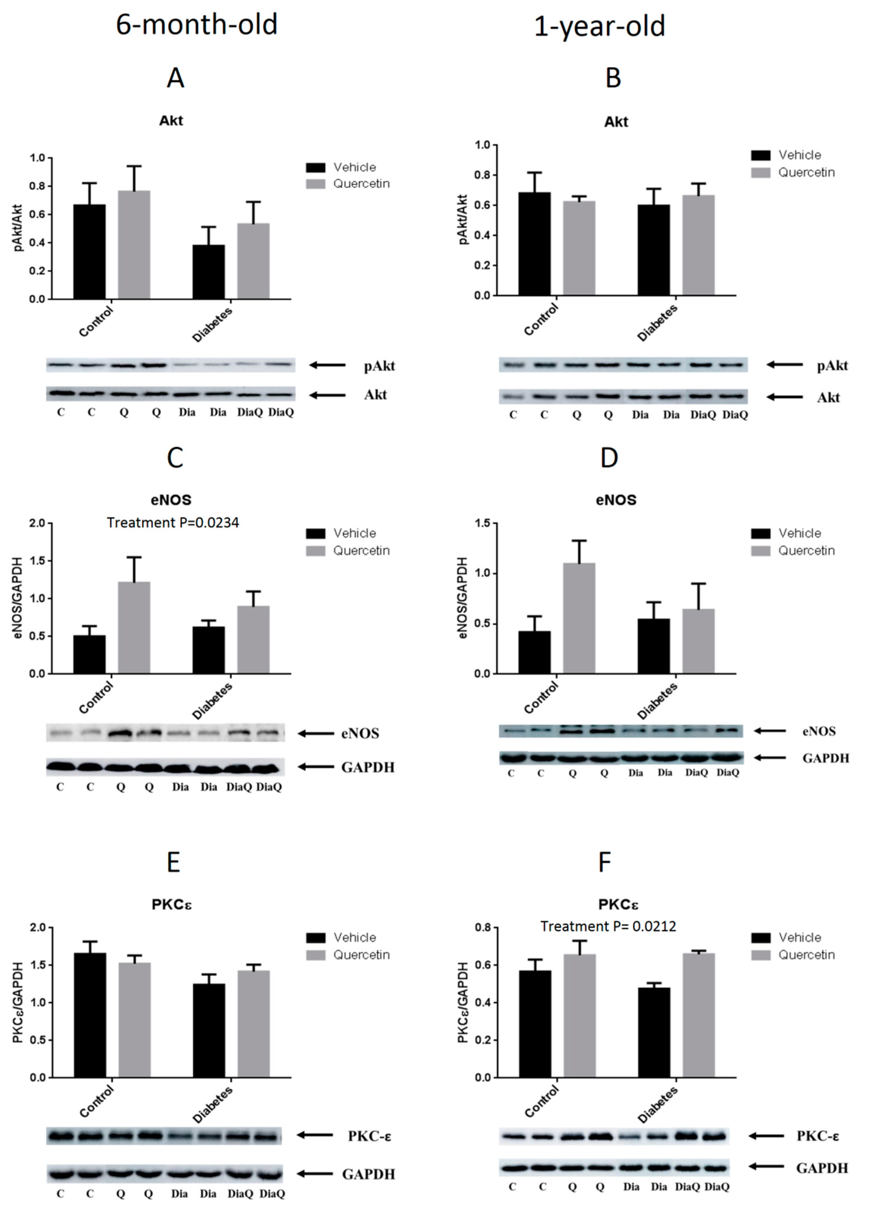 Molecules 25 00187 g006 Molecules 25 00187 g006