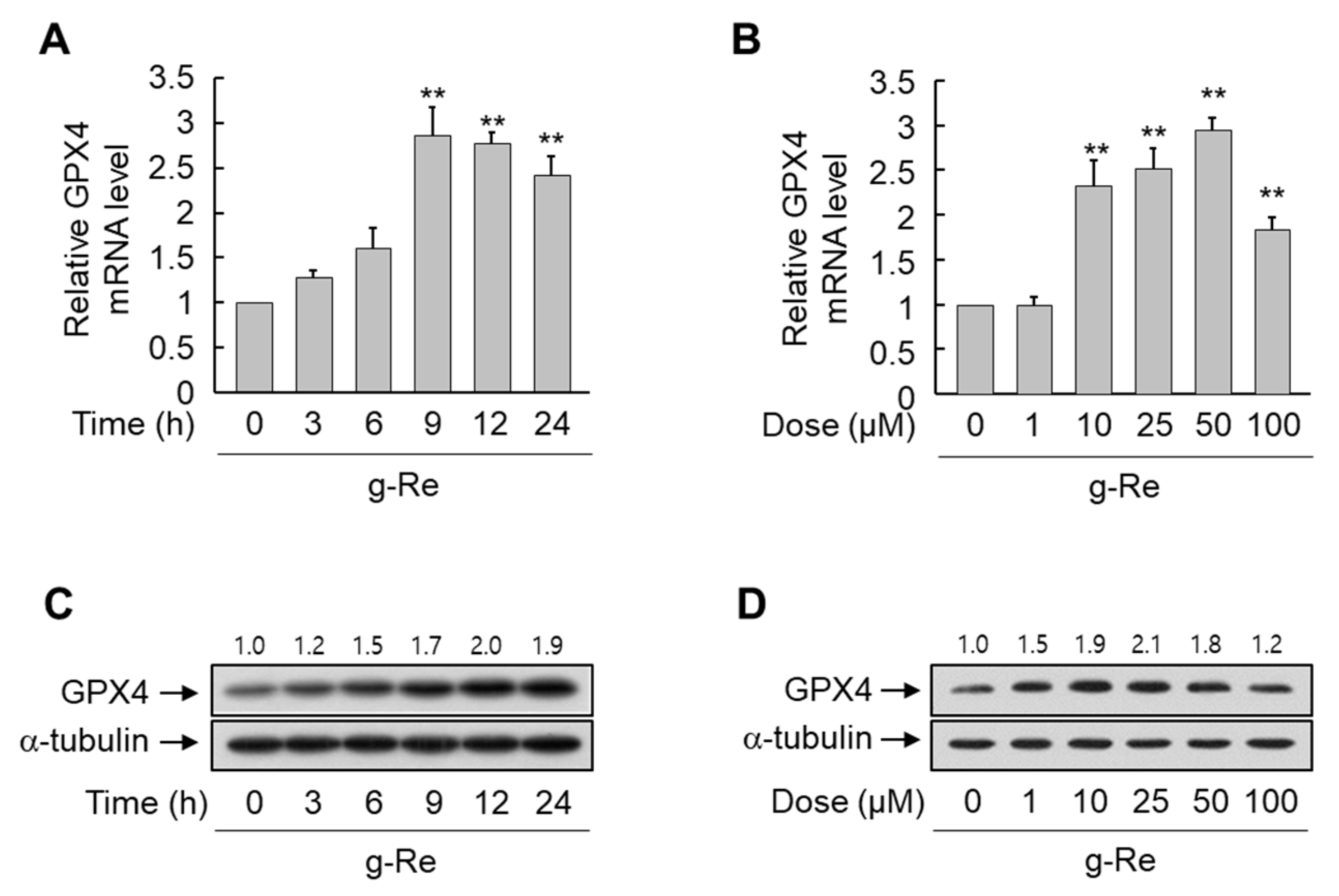 Molecules 25 00188 g005 Molecules 25 00188 g005