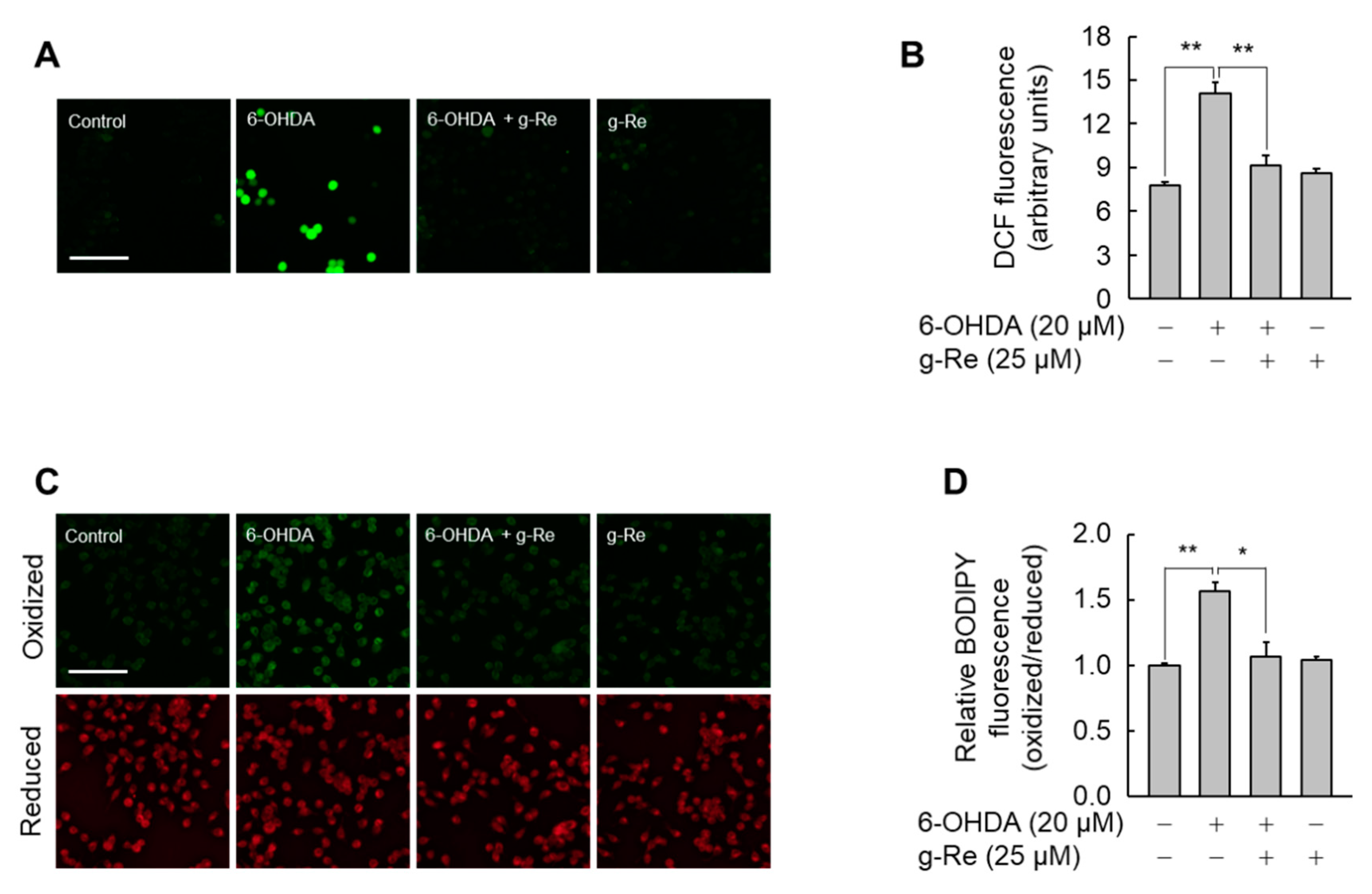 Molecules 25 00188 g006 Molecules 25 00188 g006
