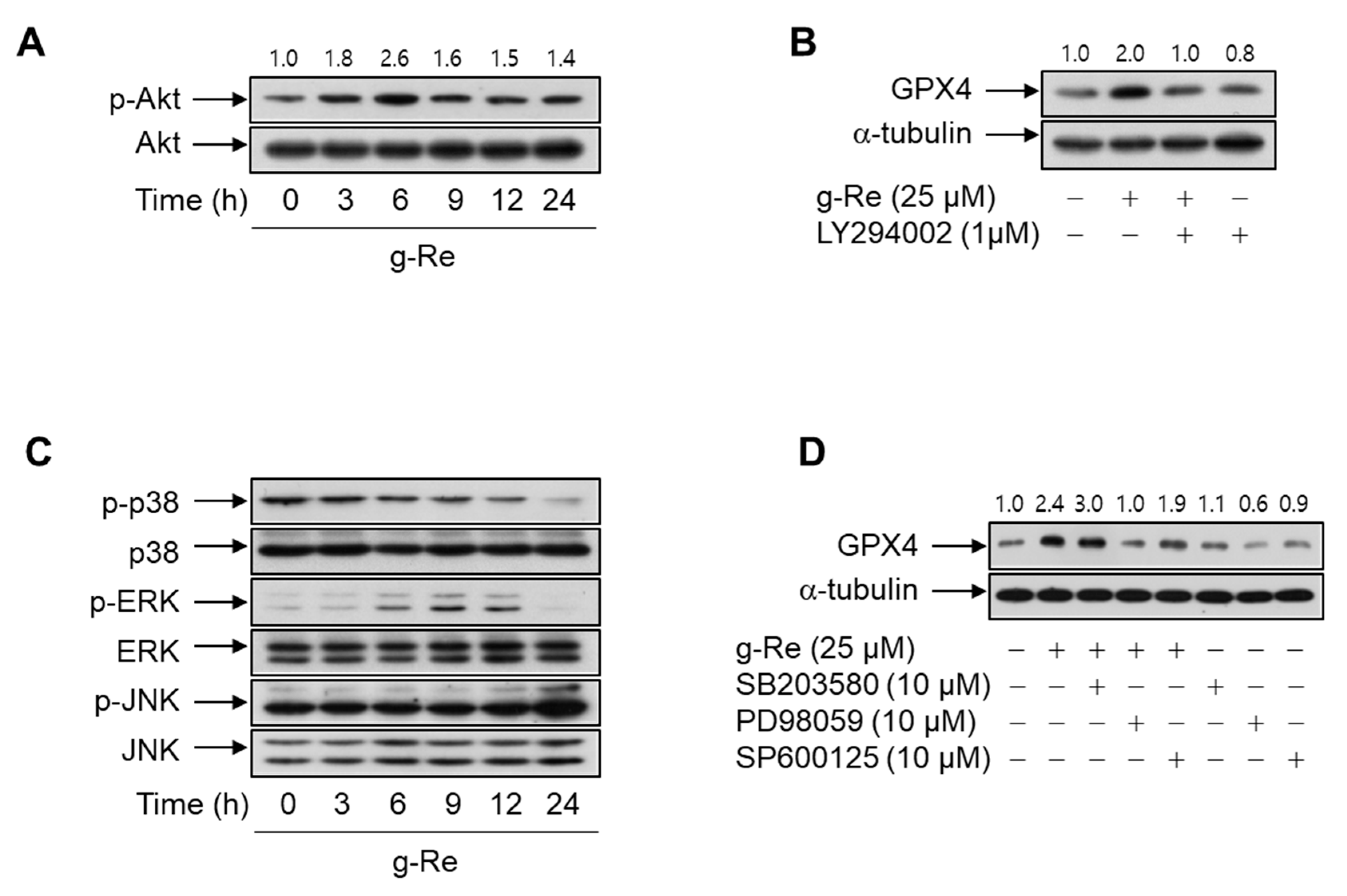 Molecules 25 00188 g007 Molecules 25 00188 g007