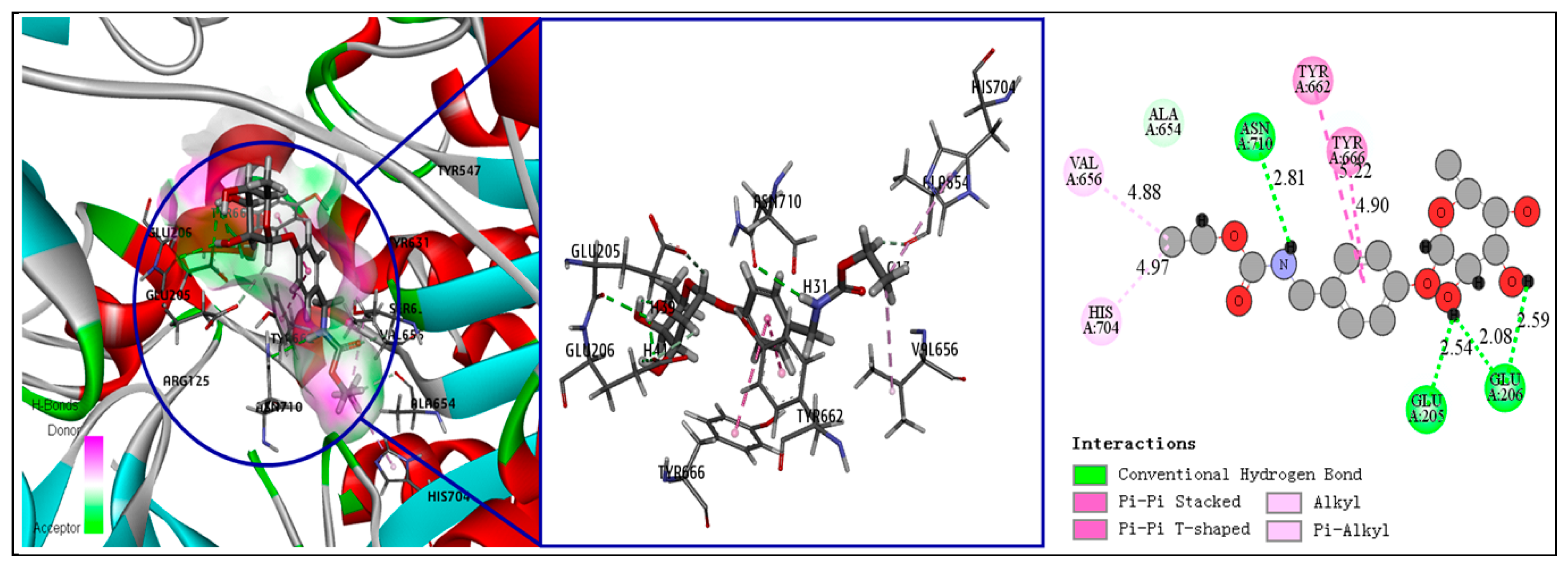 Molecules 25 00189 g003