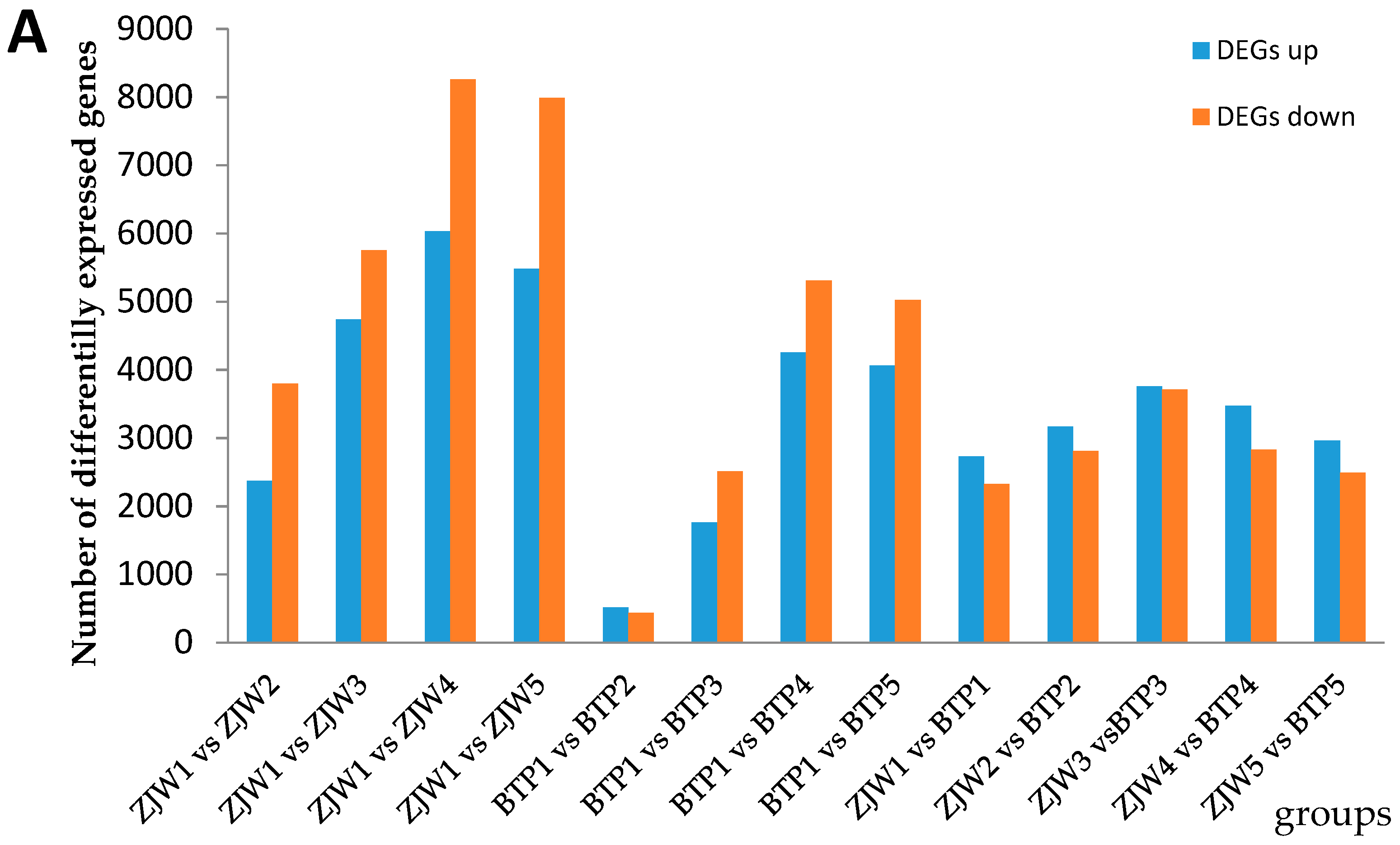 Molecules 25 00190 g004a Molecules 25 00190 g004a