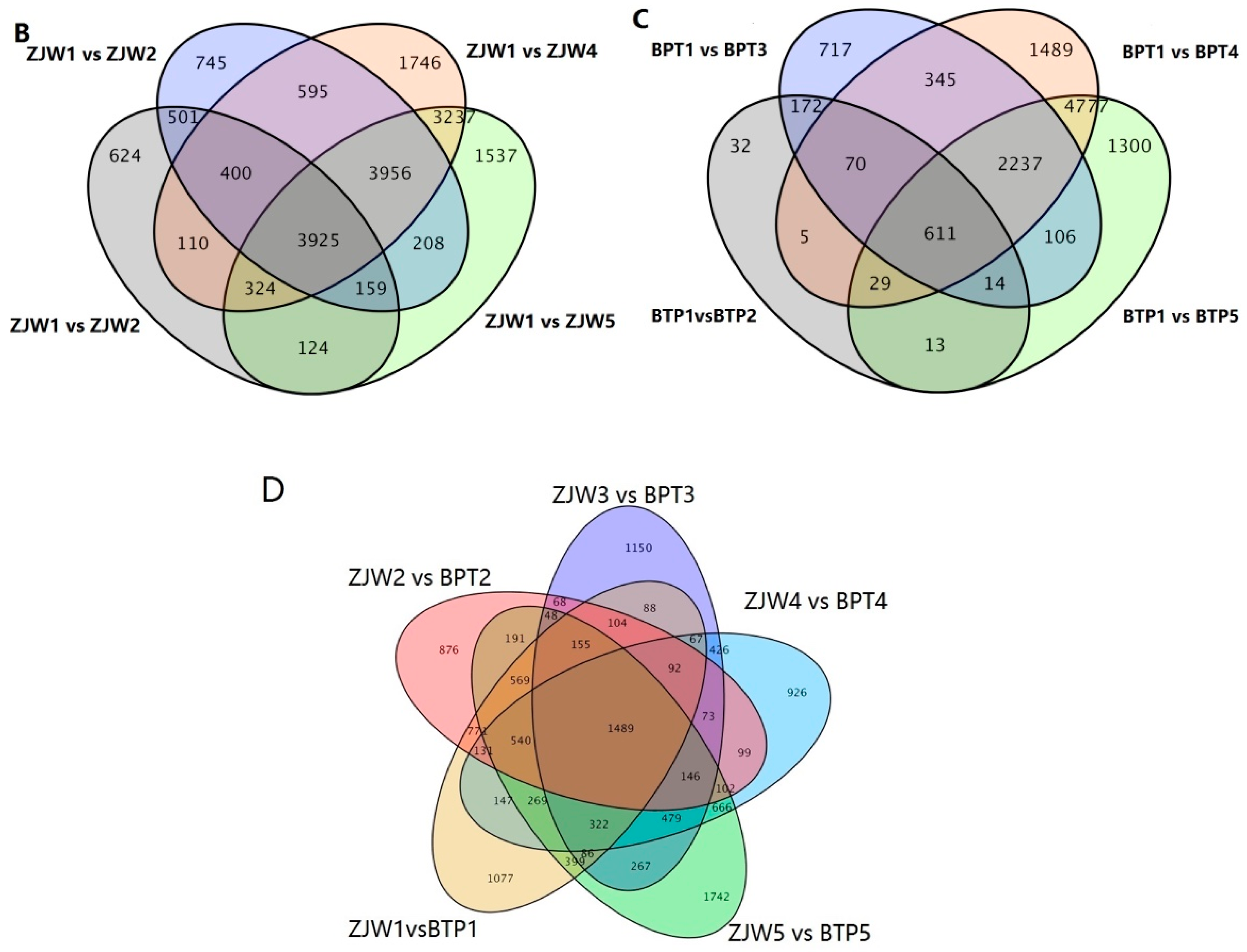 Molecules 25 00190 g004b Molecules 25 00190 g004b