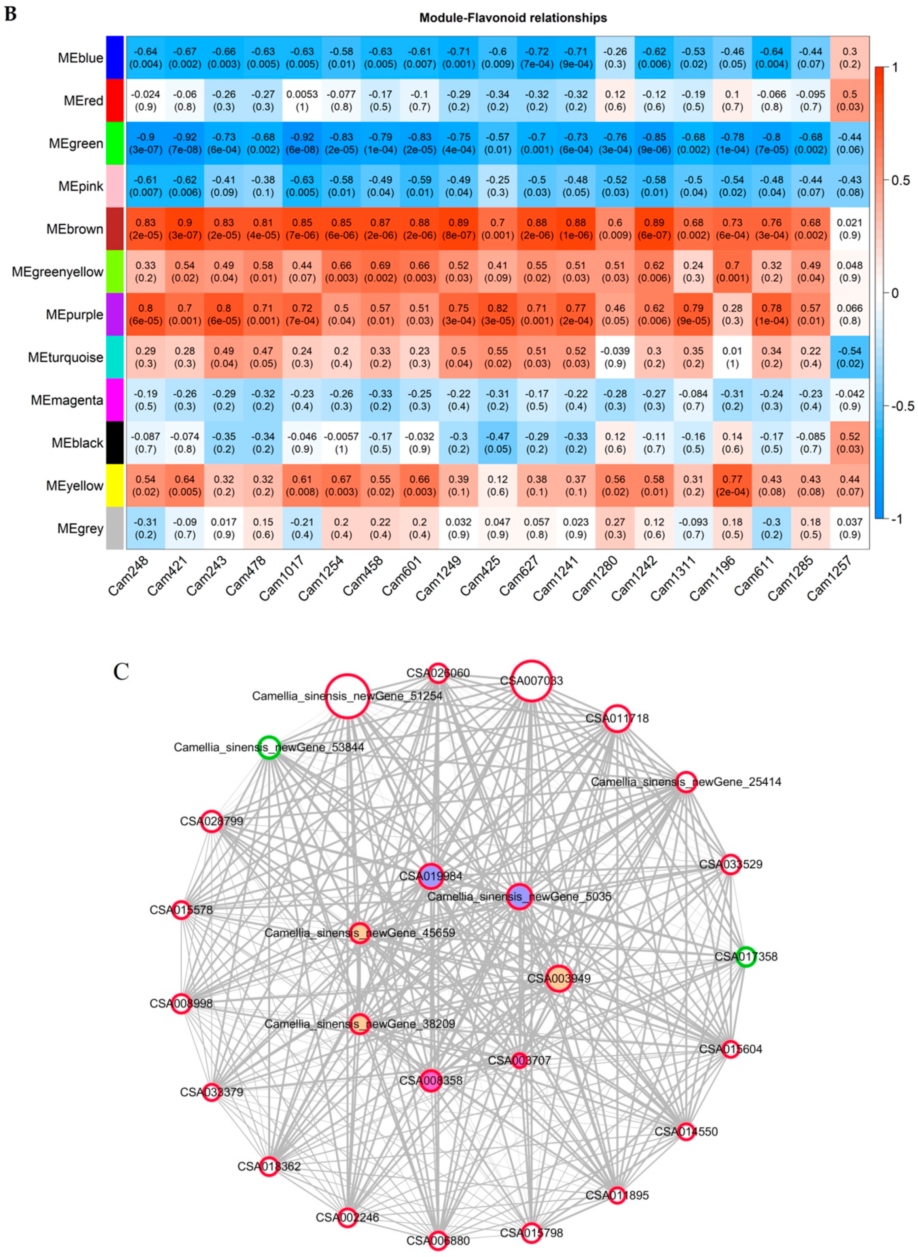Molecules 25 00190 g006b Molecules 25 00190 g006b