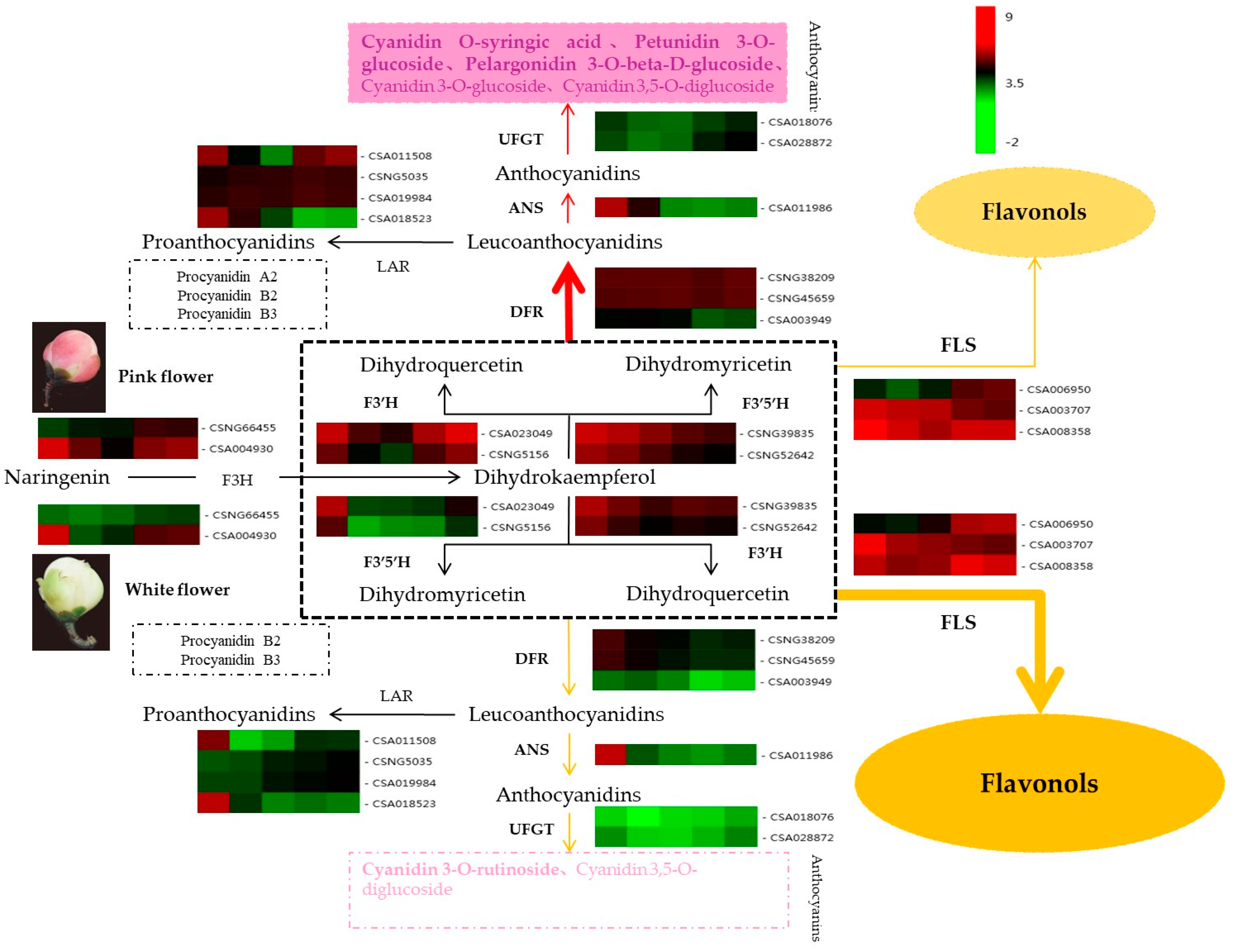 Molecules 25 00190 g008 Molecules 25 00190 g008
