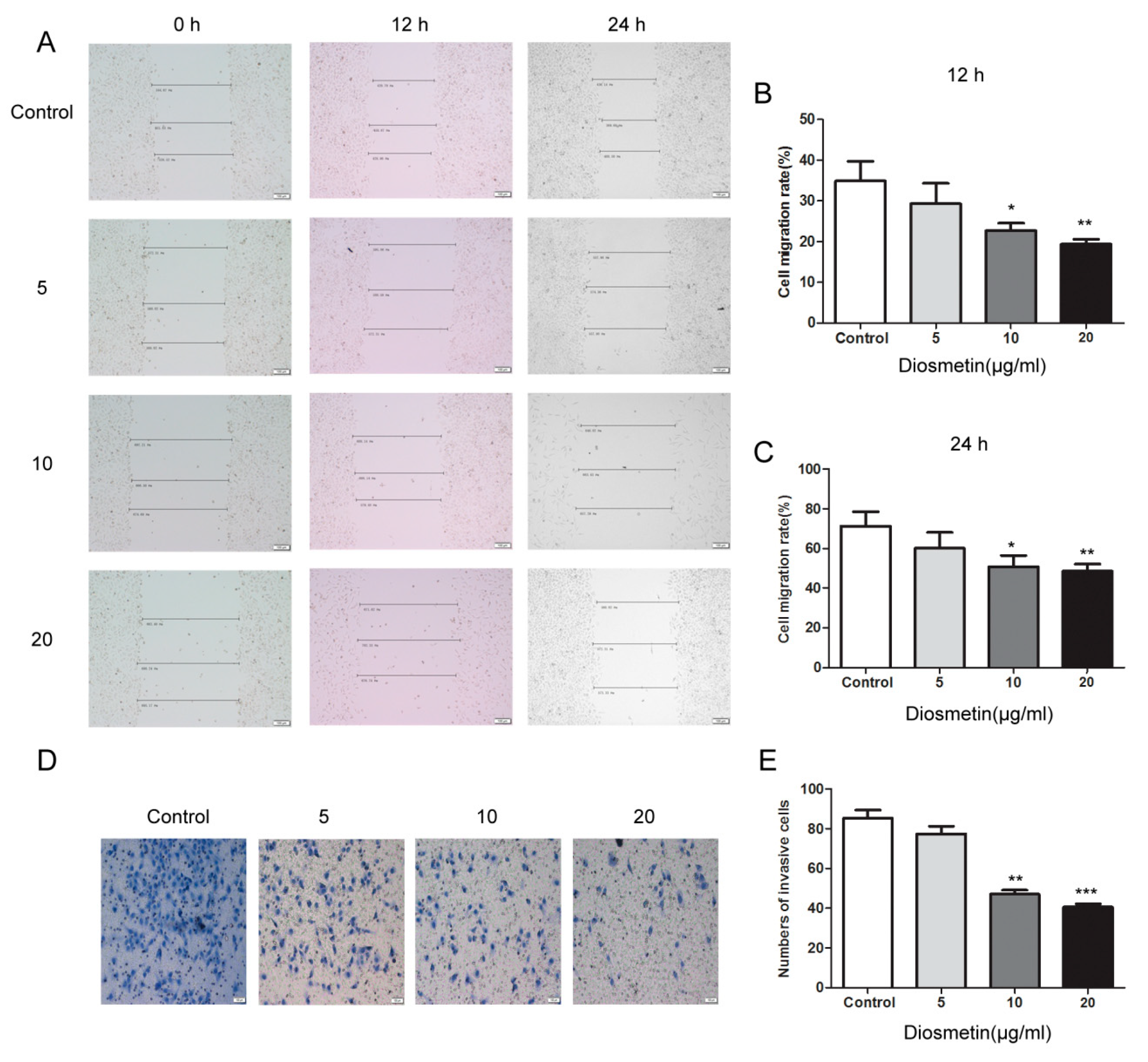 Molecules 25 00192 g002 Molecules 25 00192 g002