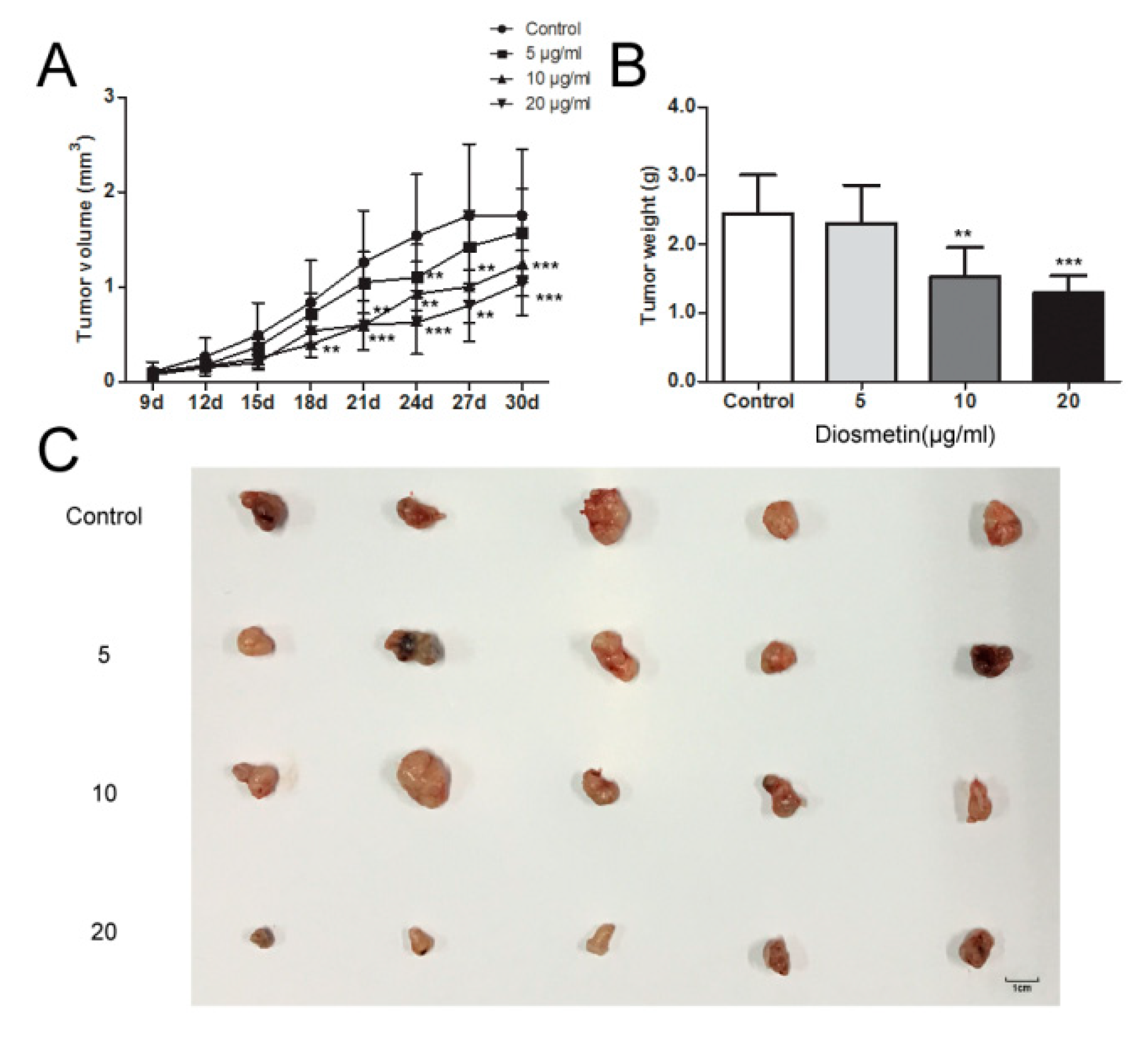Molecules 25 00192 g005 Molecules 25 00192 g005