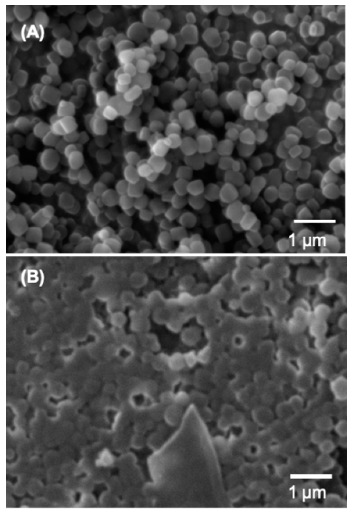 Molecules 25 00195 g001