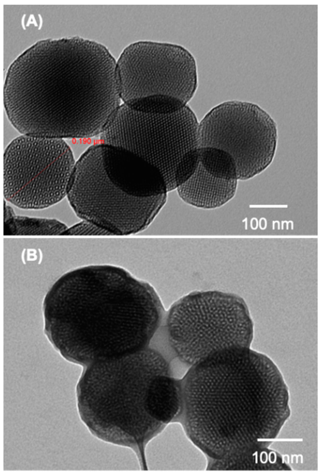 Molecules 25 00195 g002