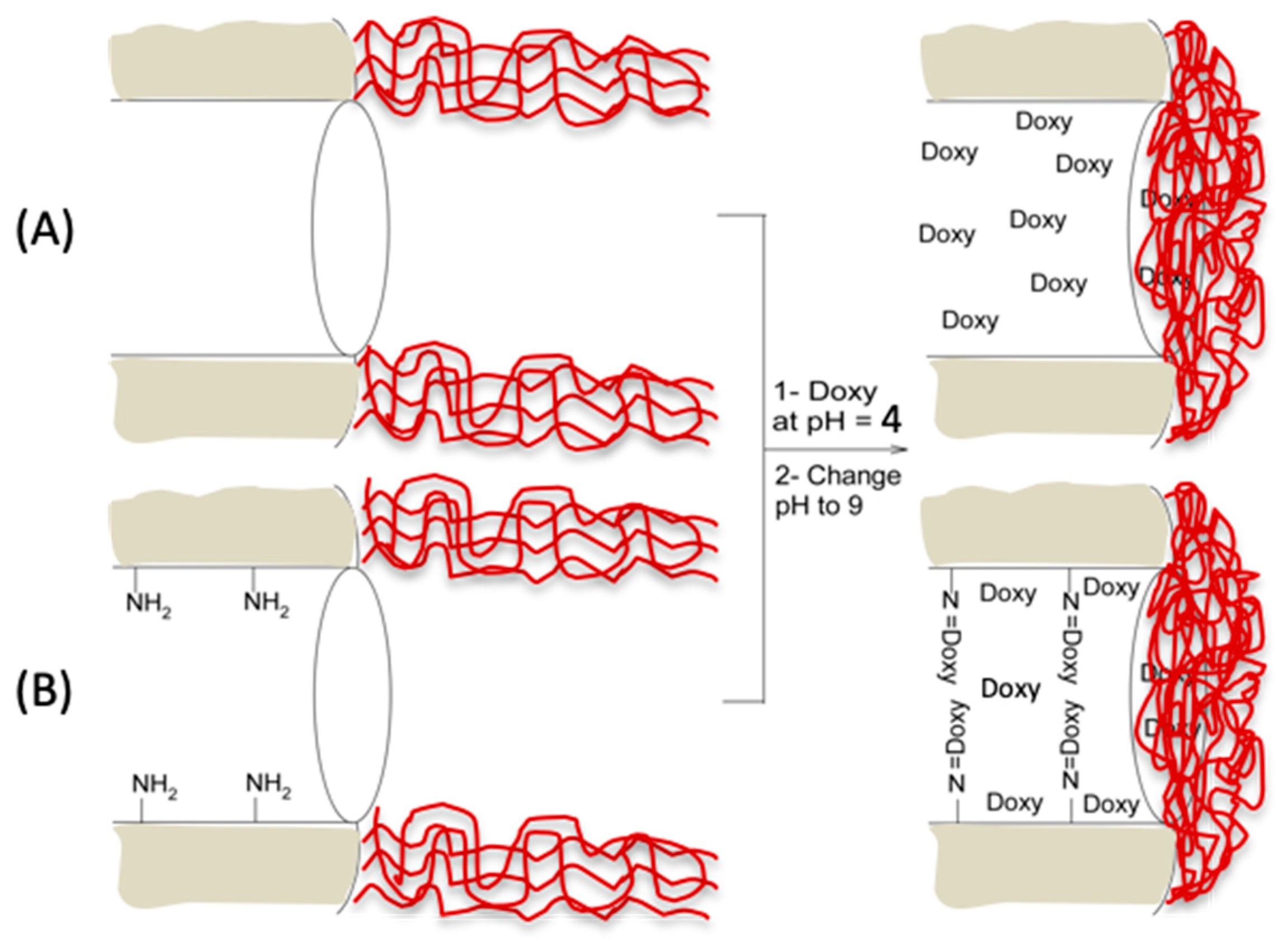 Molecules 25 00195 sch002