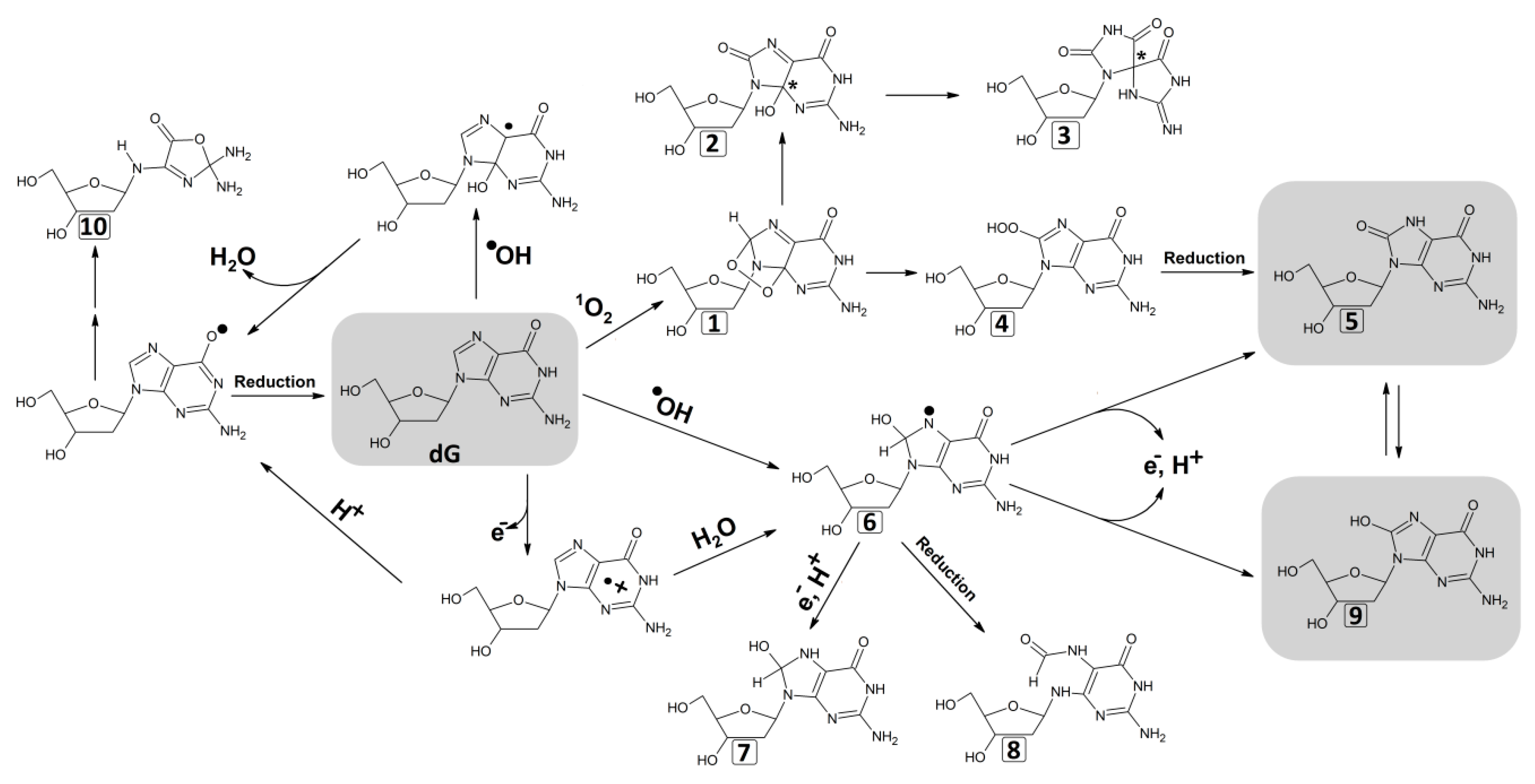 Molecules 25 00202 g002