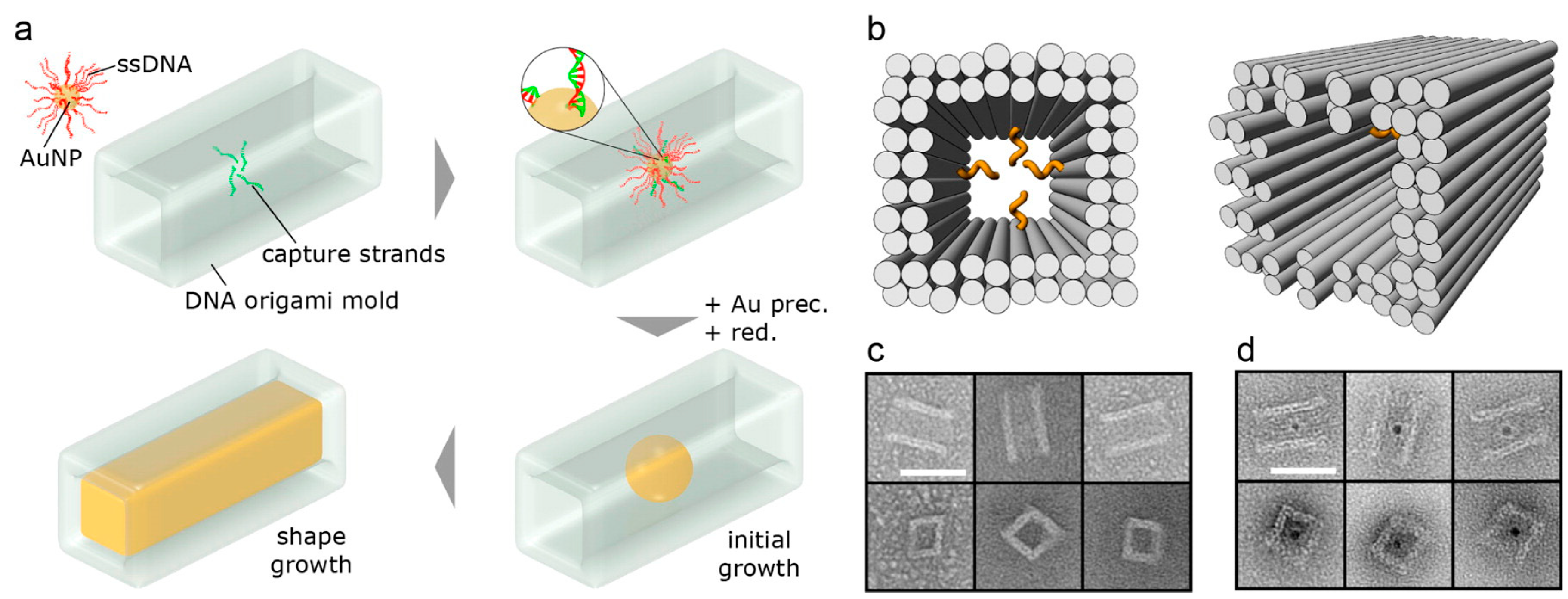 Molecules 25 00204 g004