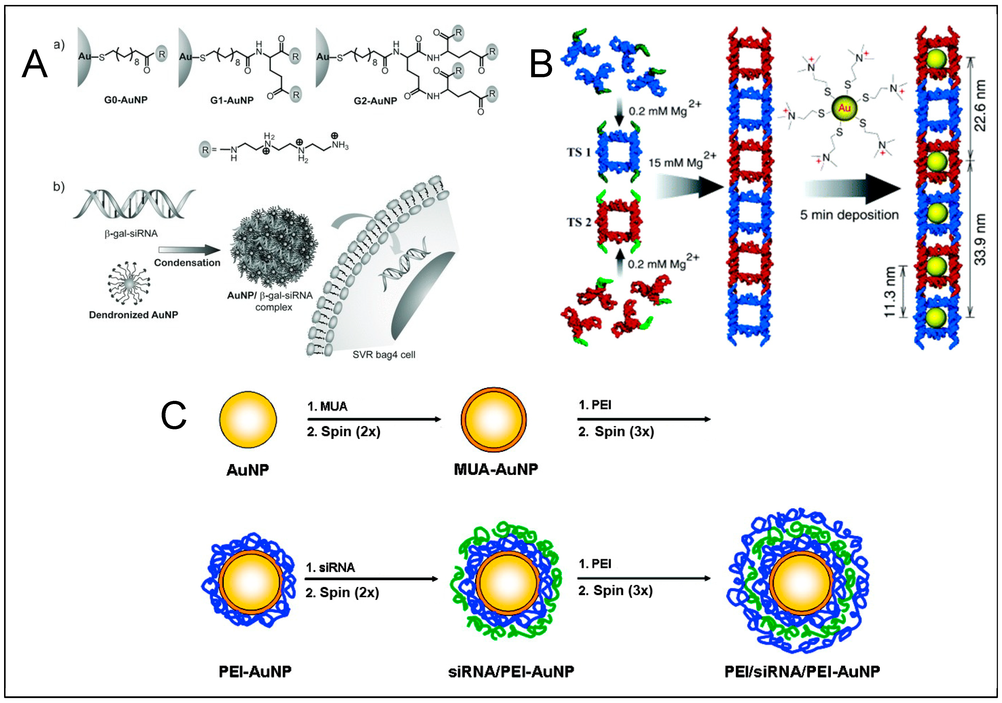 Molecules 25 00204 g006