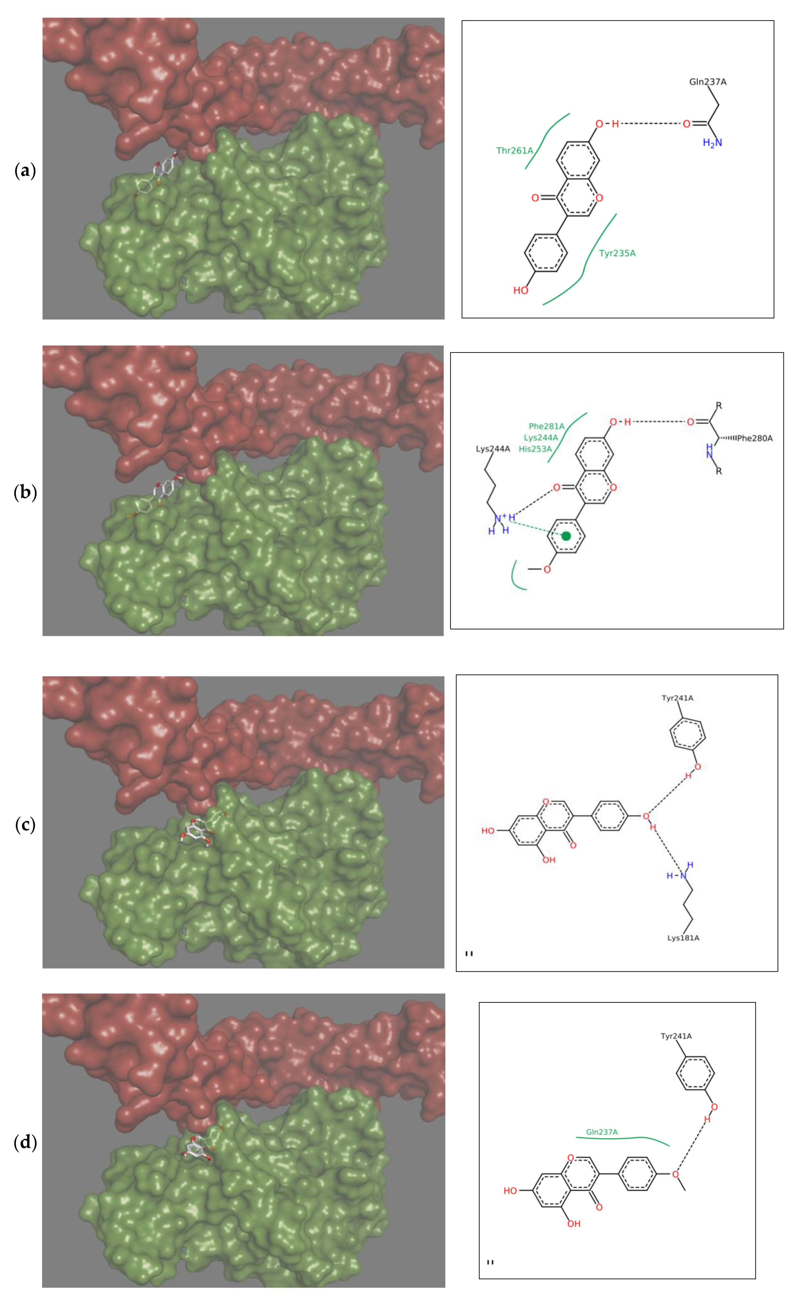 Molecules 25 00206 g002a Molecules 25 00206 g002a