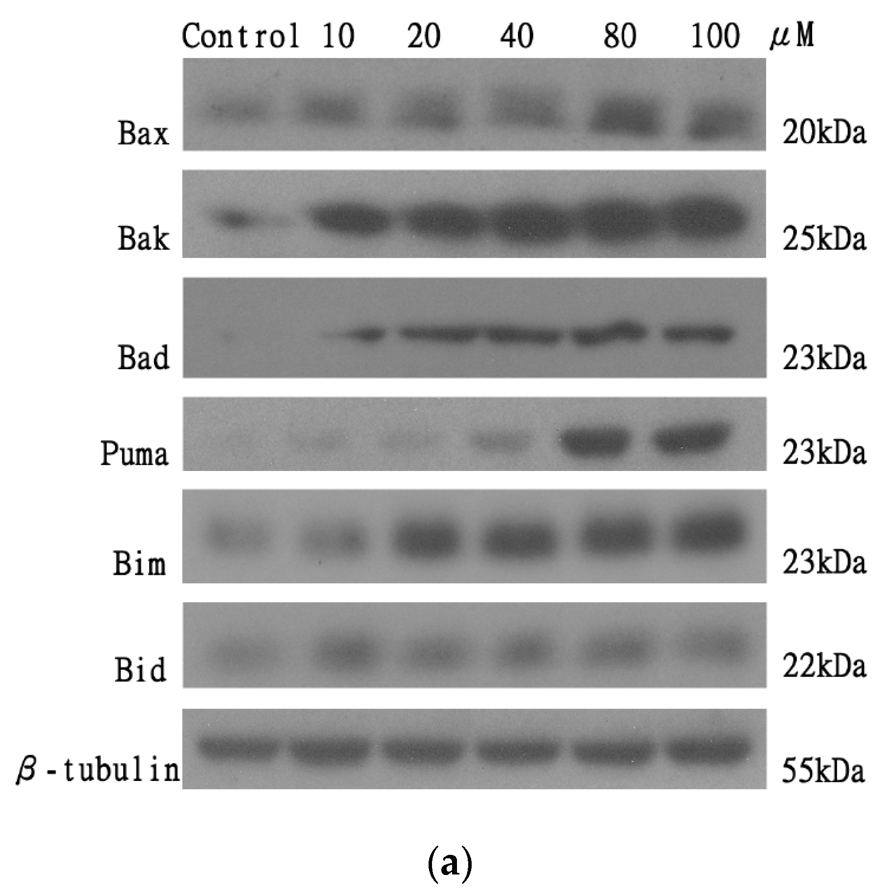 Molecules 25 00212 g008a Molecules 25 00212 g008a