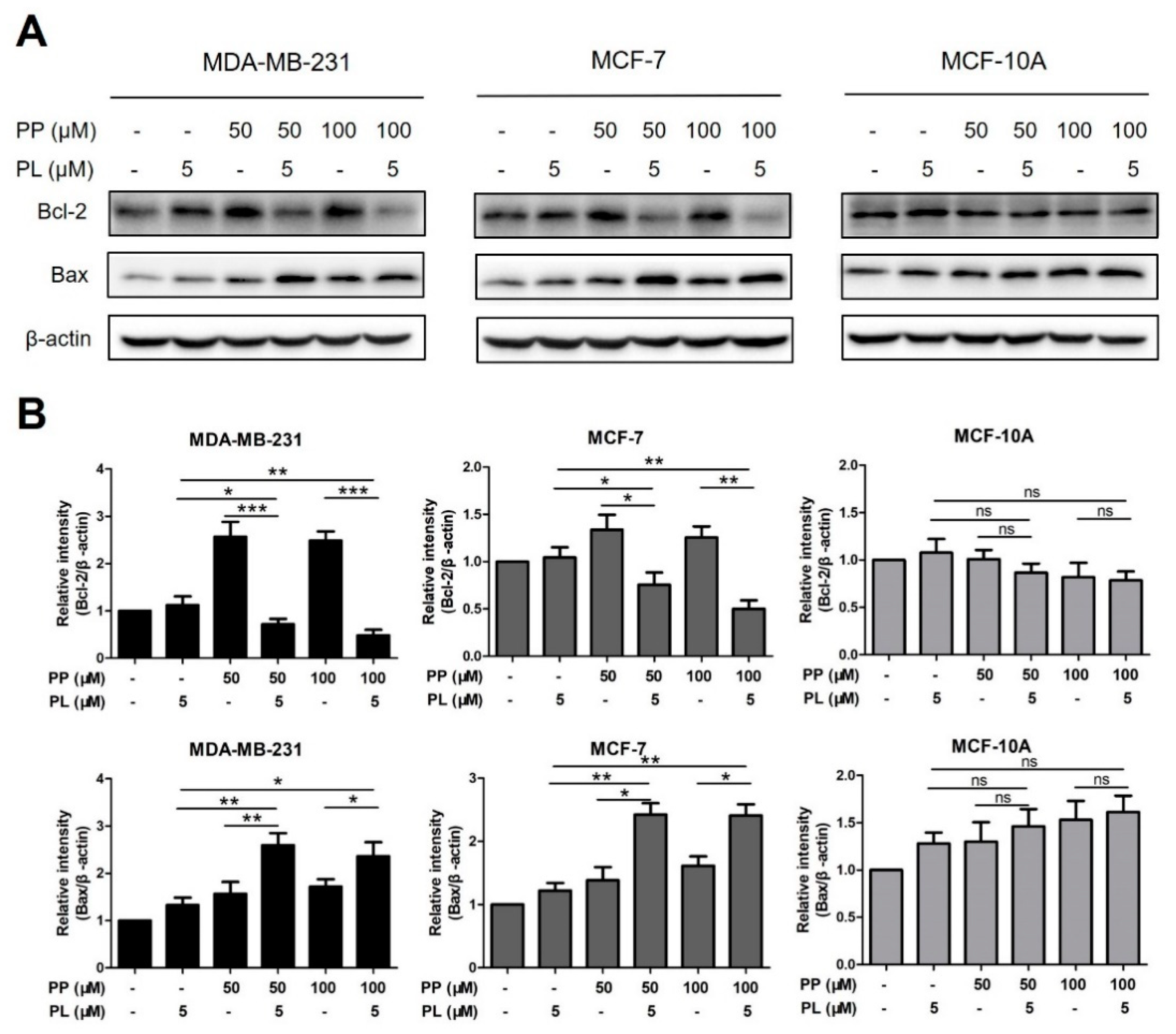 Molecules 25 00216 g005 Molecules 25 00216 g005