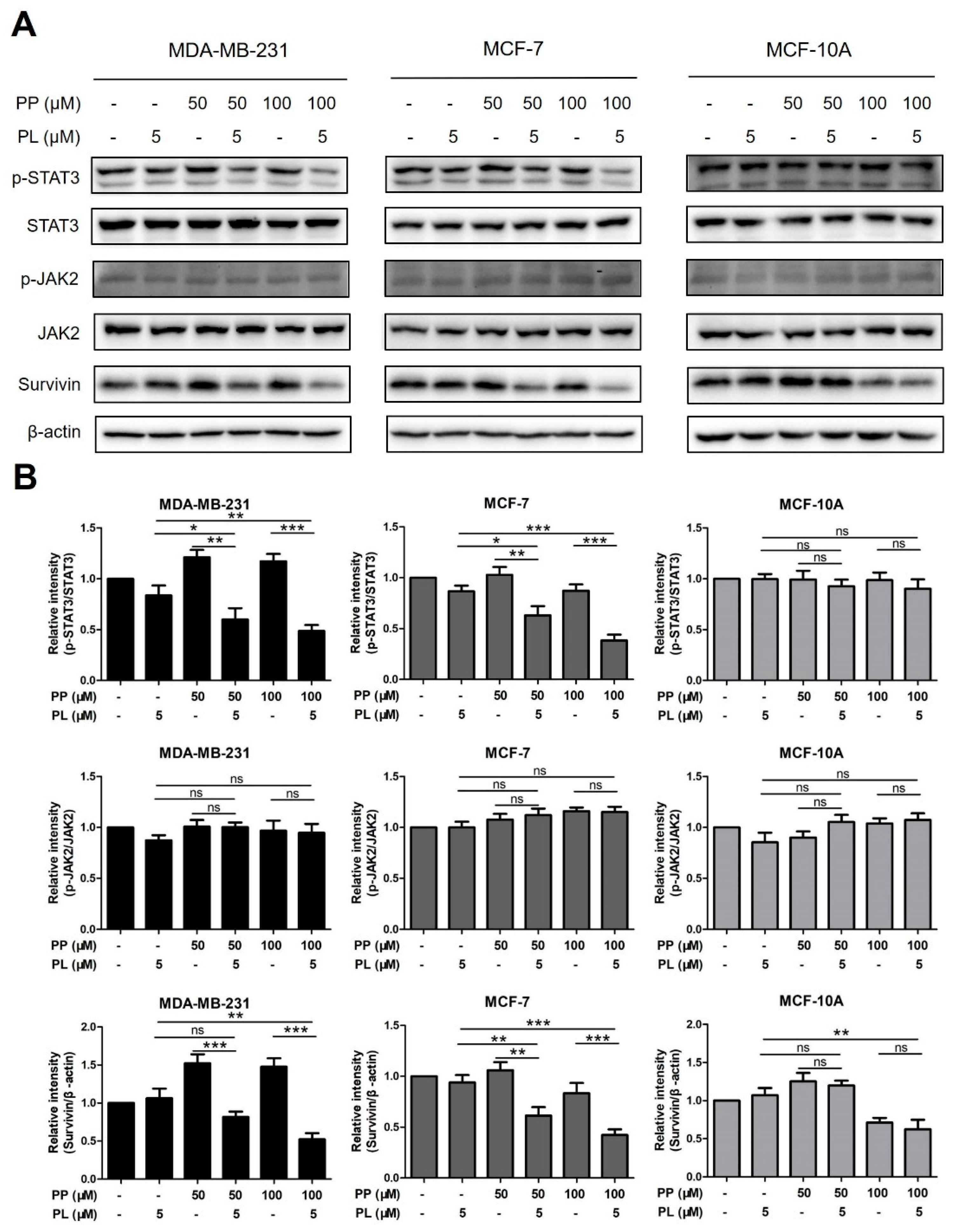 Molecules 25 00216 g006 Molecules 25 00216 g006