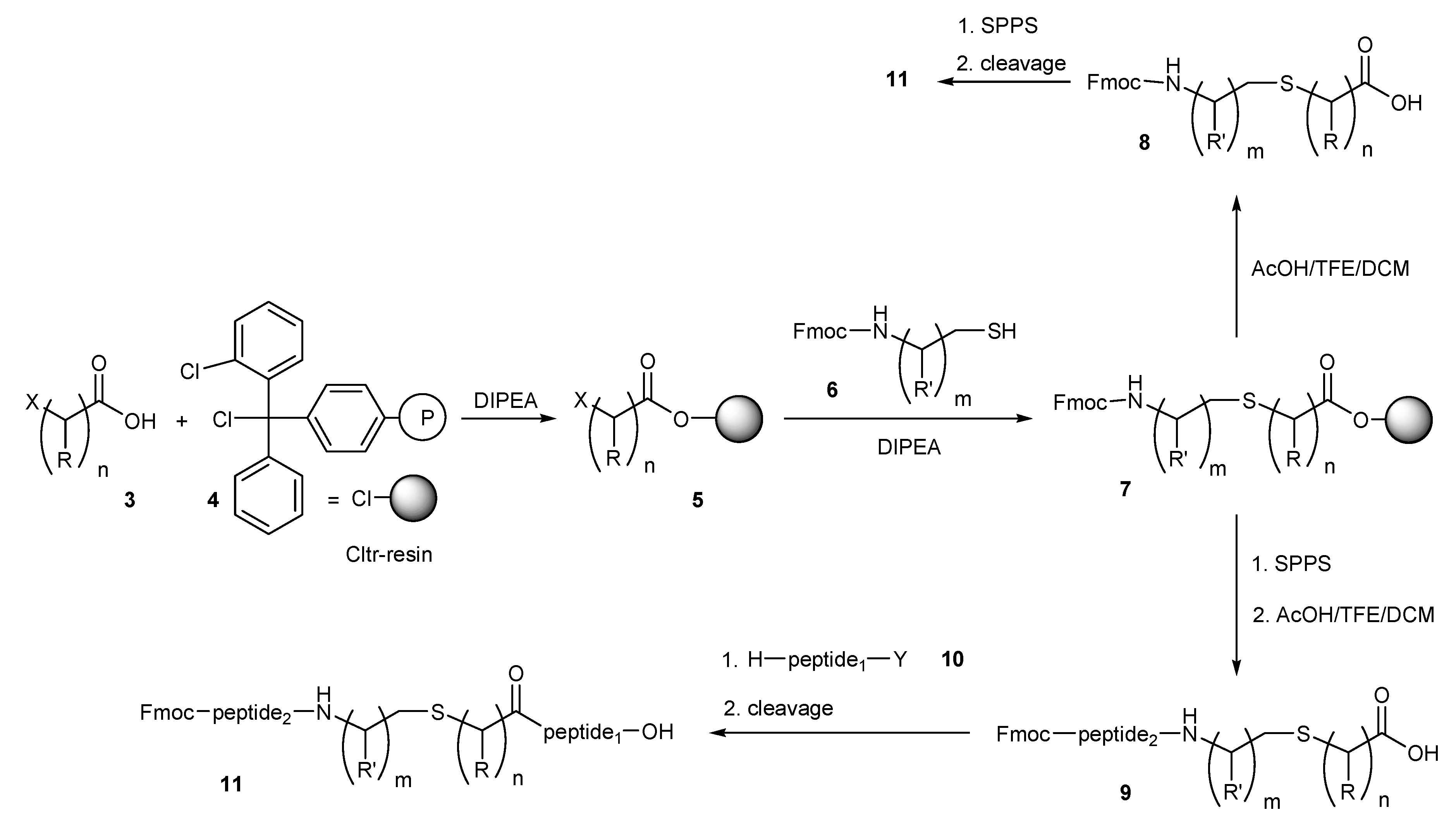 Molecules 25 00218 sch001