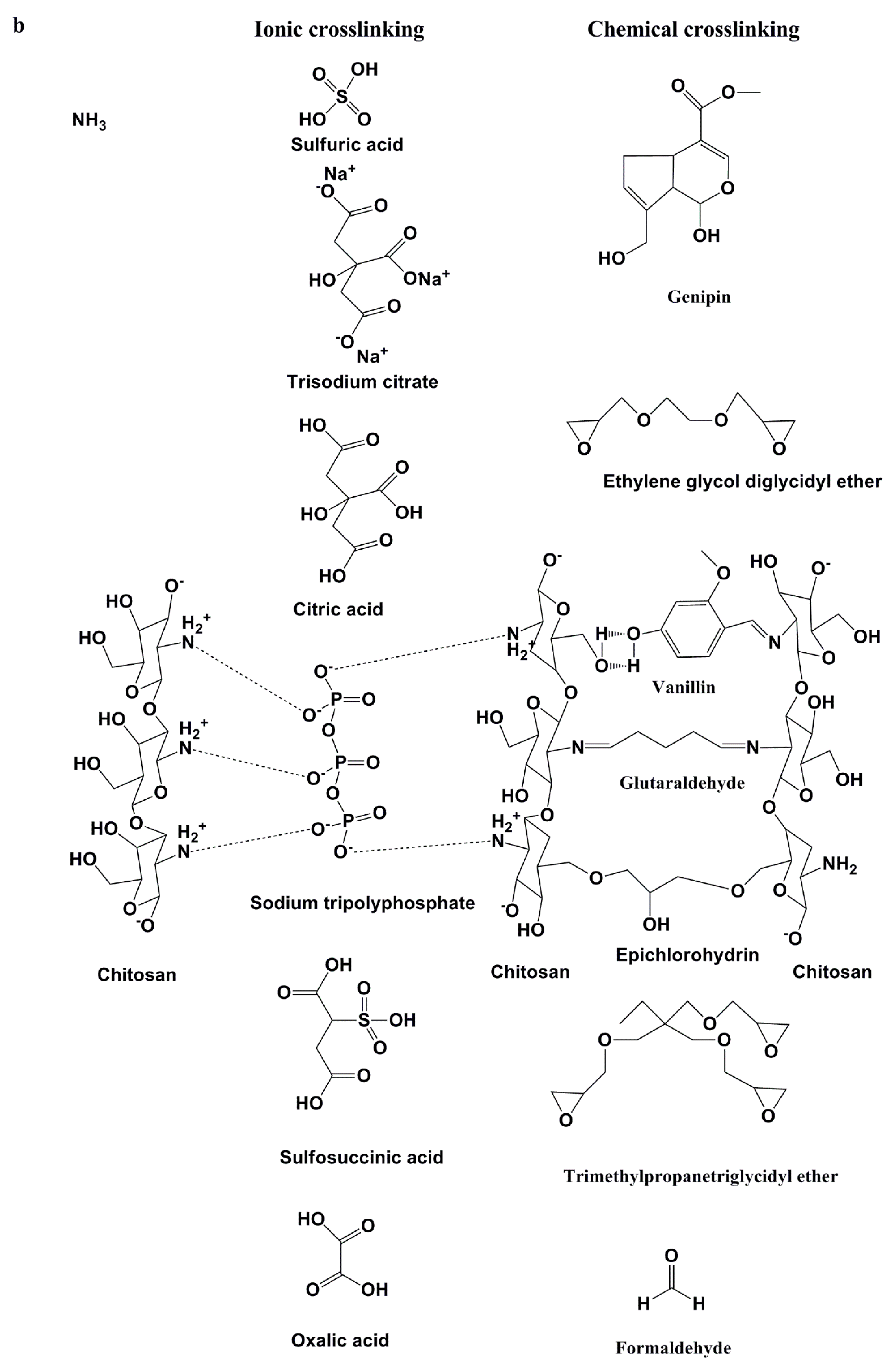 Molecules 25 00222 g002b Molecules 25 00222 g002b